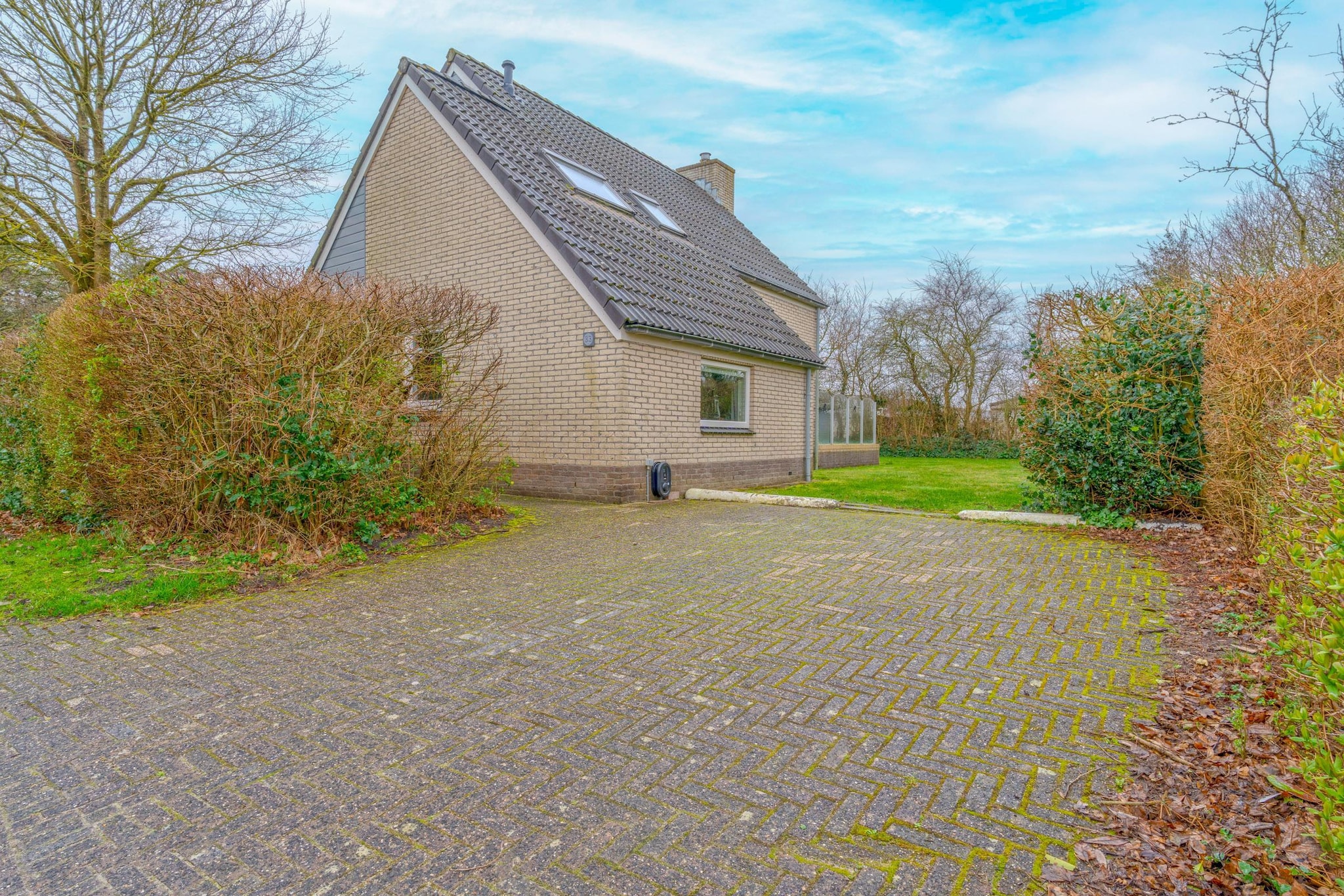 Kamperfoelie 33-Extérieur été