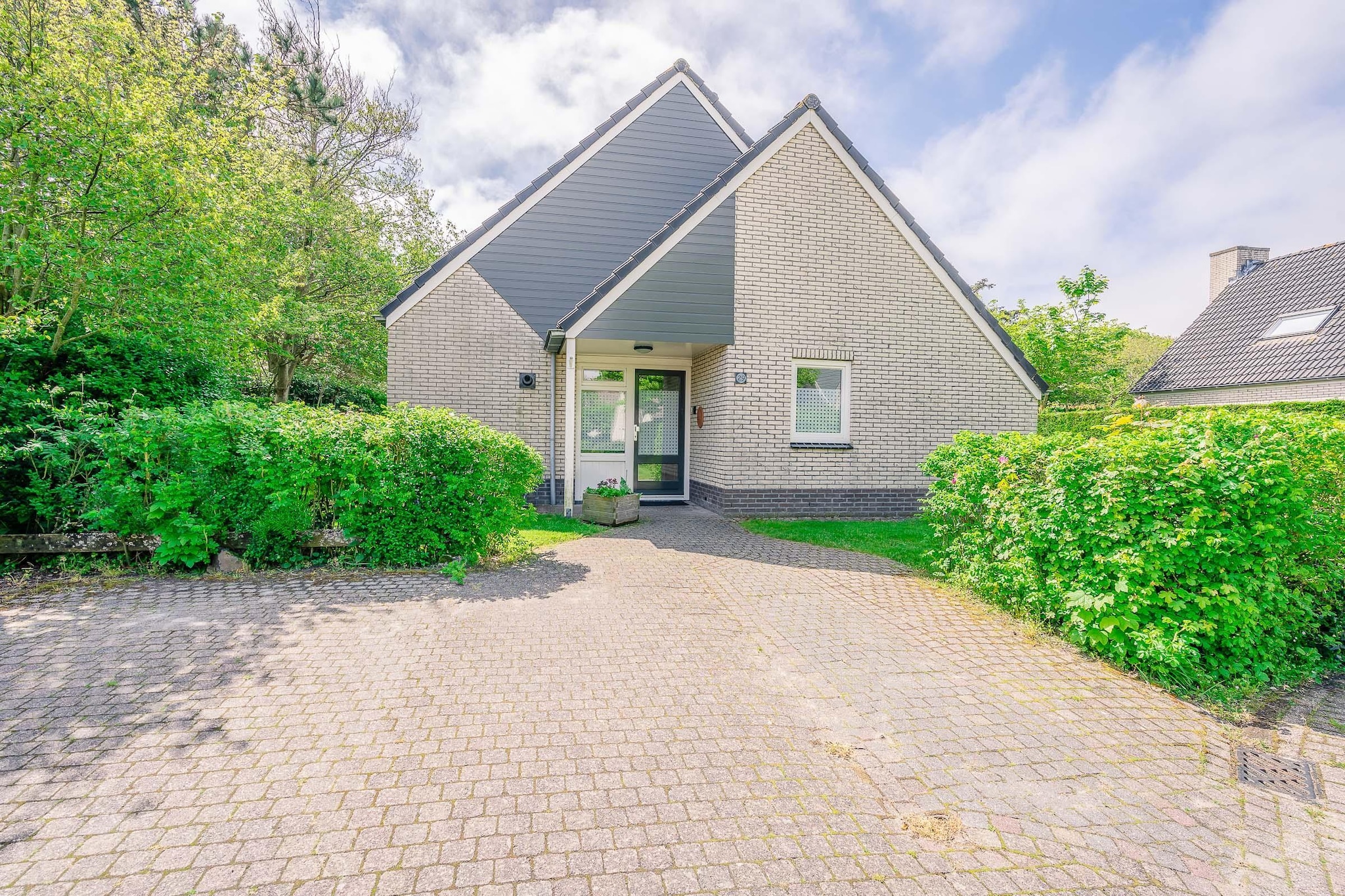 Kamperfoelie 29-Buitenkant zomer