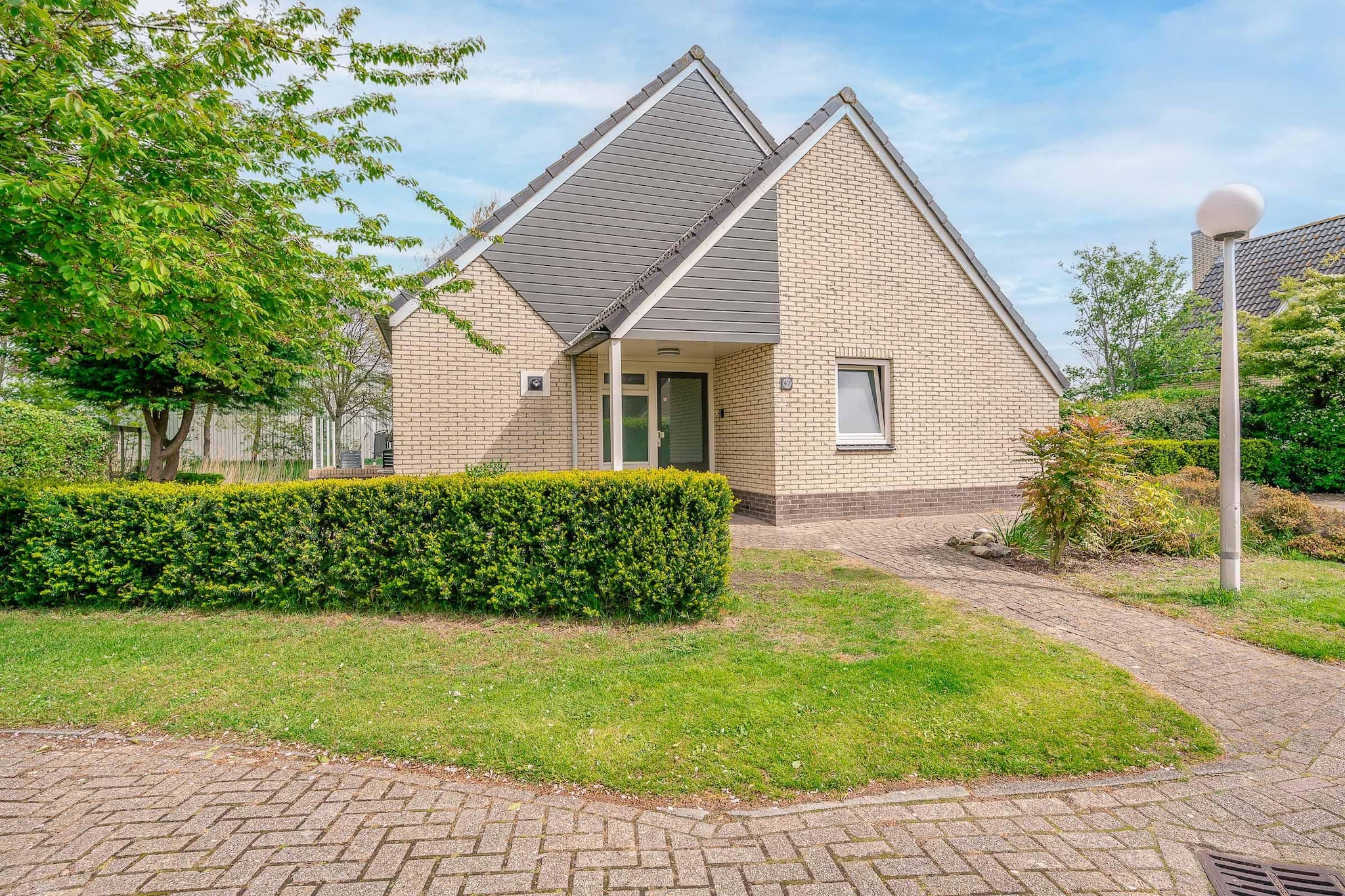 Kamperfoelie 47-Extérieur été