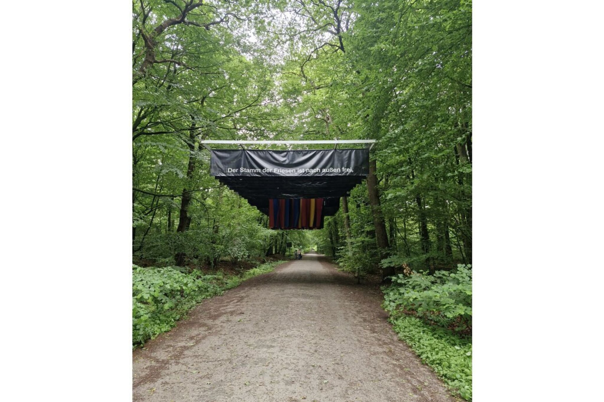 632513-Gebieden zomer 1km