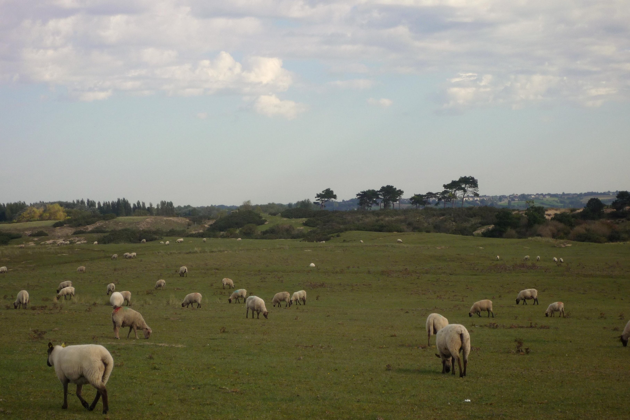 Studio au 1er étage-Gebieden zomer 5km