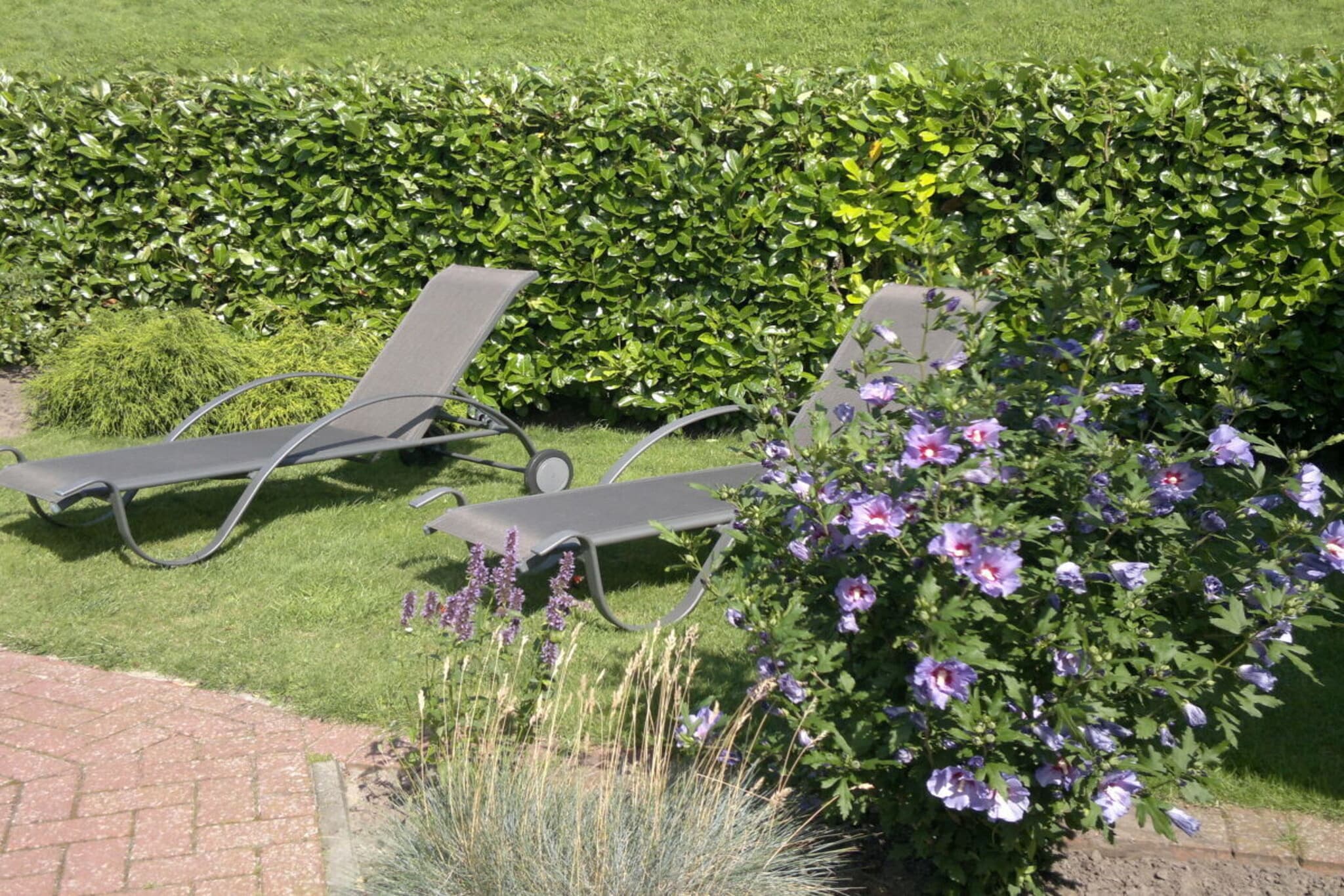 703967-Jardins en été