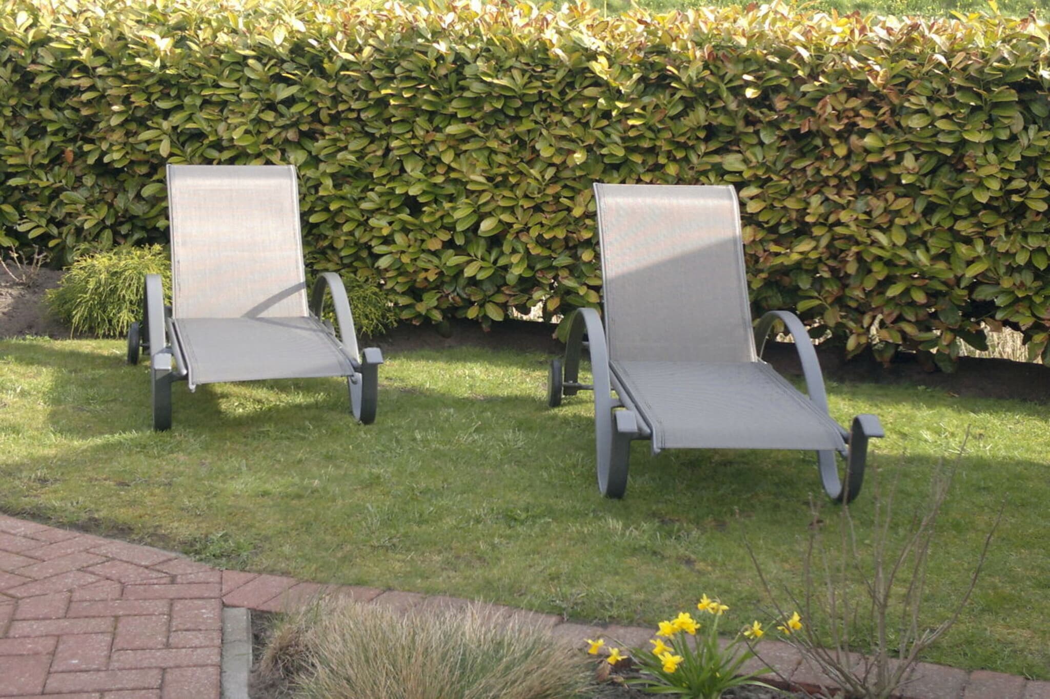 703967-Jardins en été