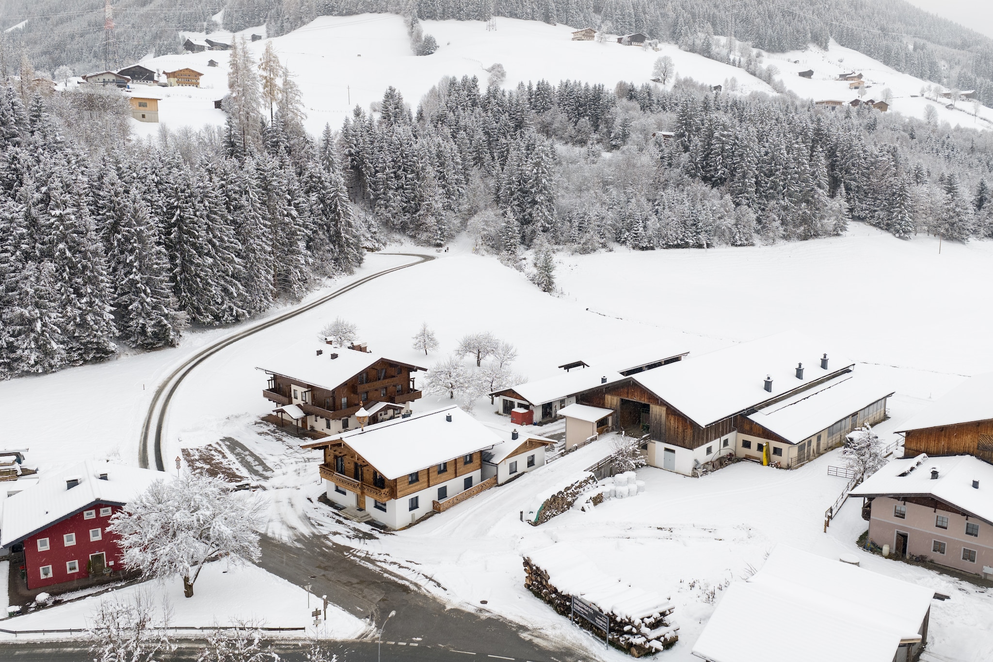 Apartment "Sonnberg"-Area within 5km in winter