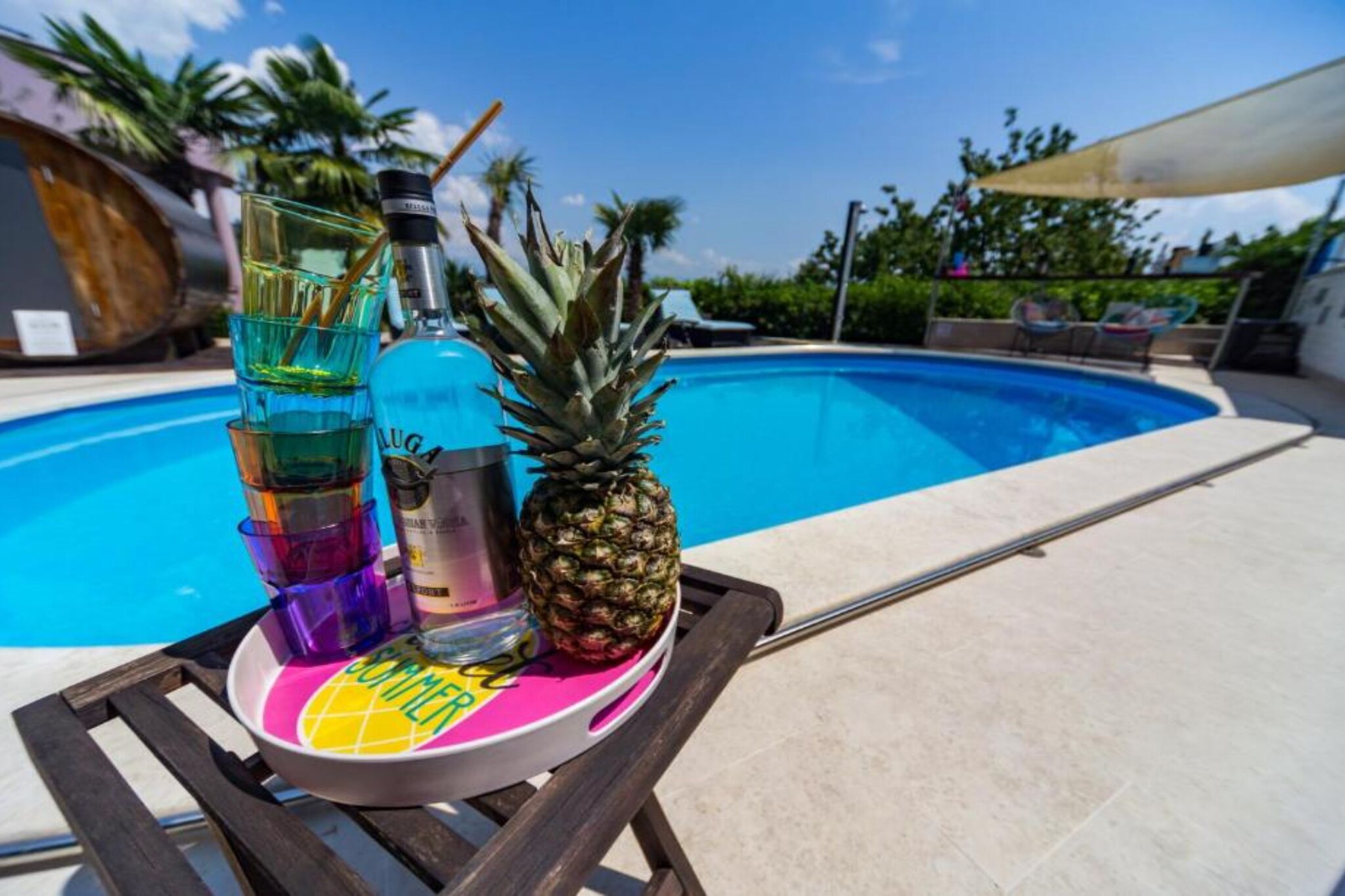 Apartments Melanie - Oprić Hills Studio apartment with balcony (C)-Piscine