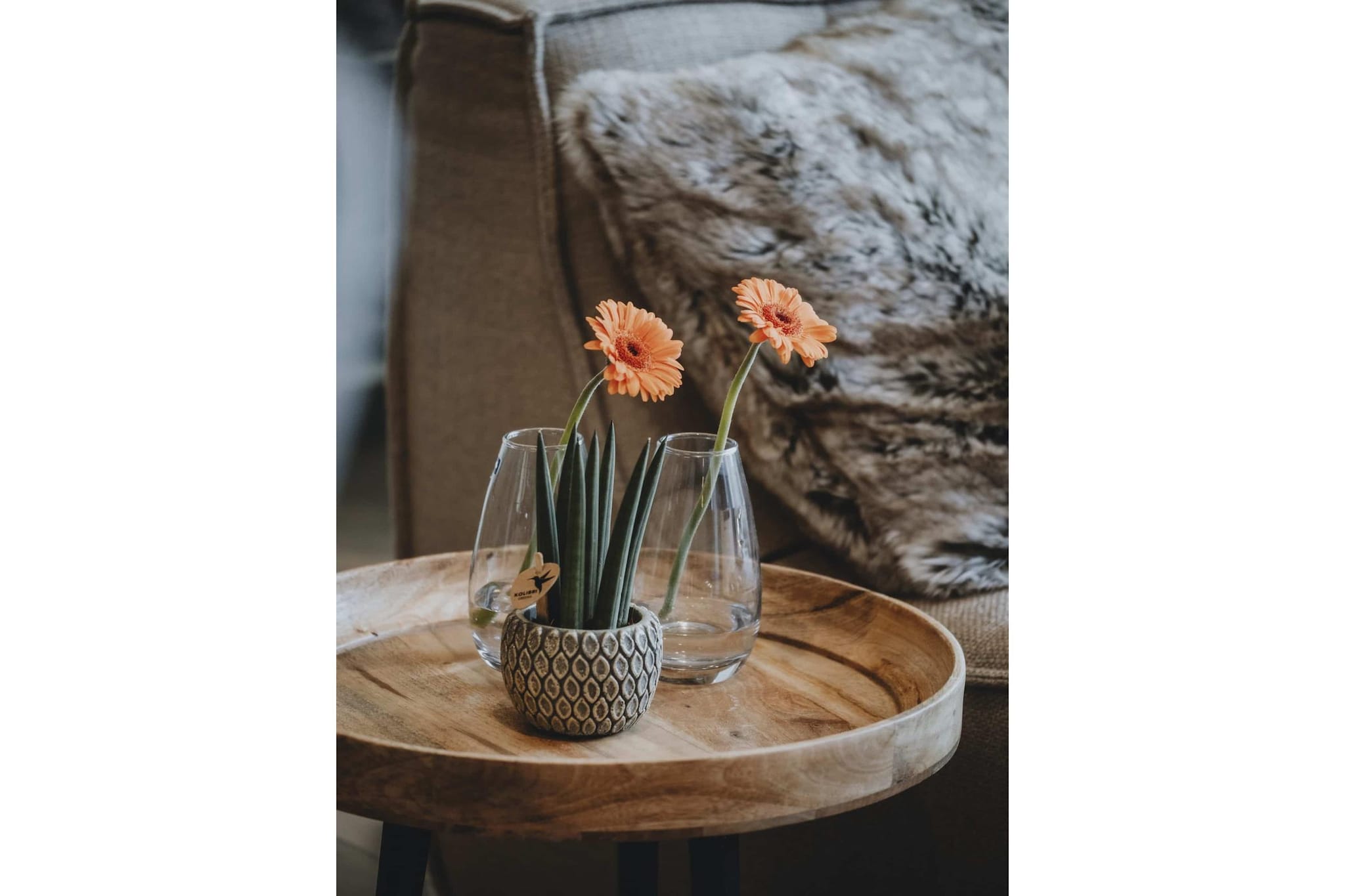 Le Paradis d'Henri-Ambiente