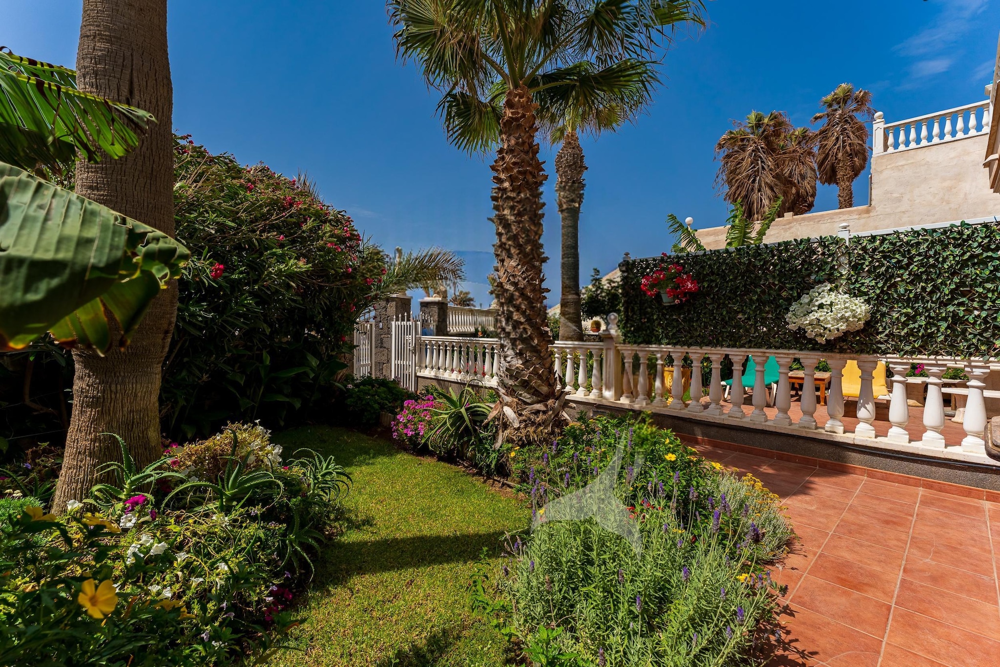 Delfin 2-Tuinen zomer