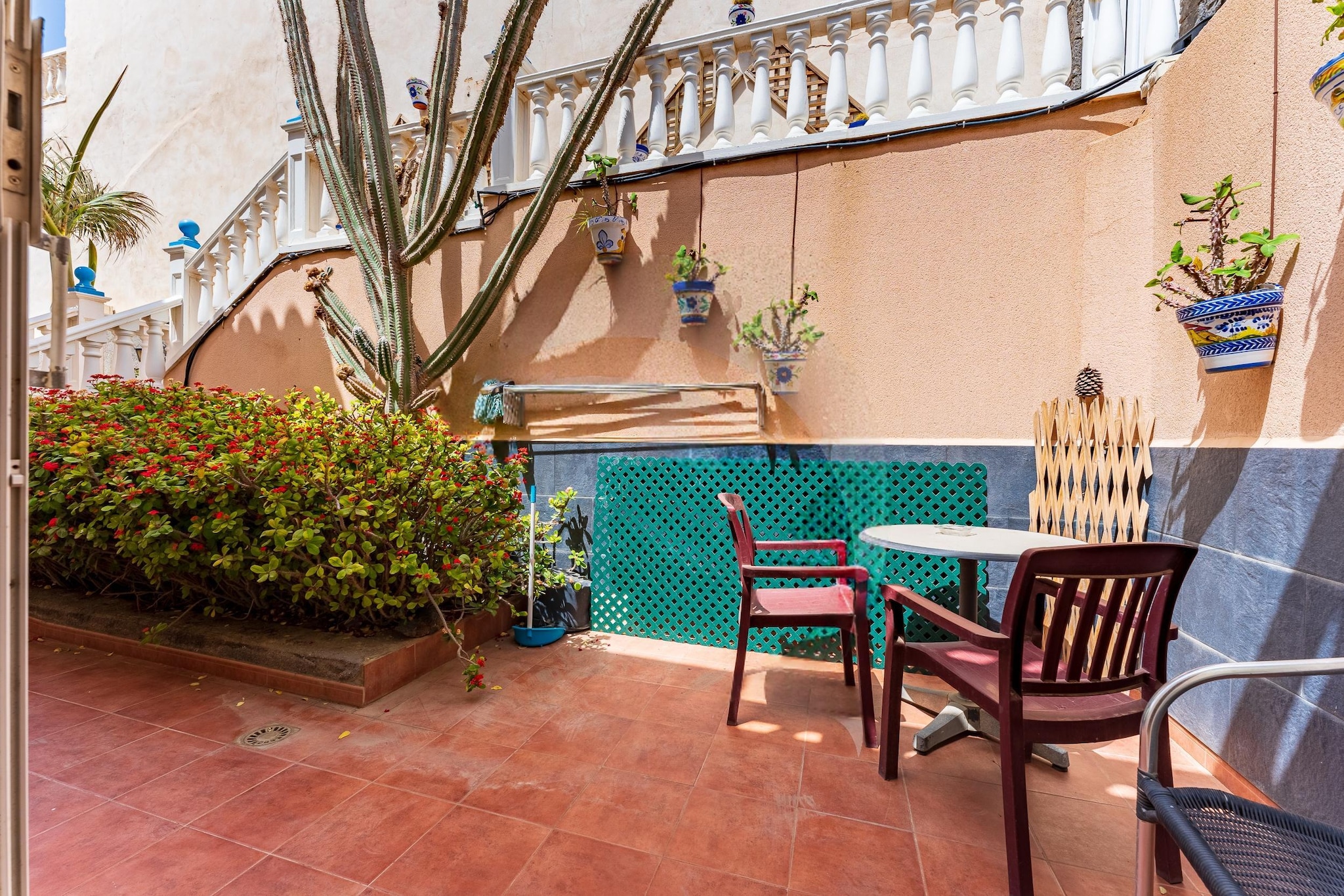 Delfin 5-Uitzicht zomer