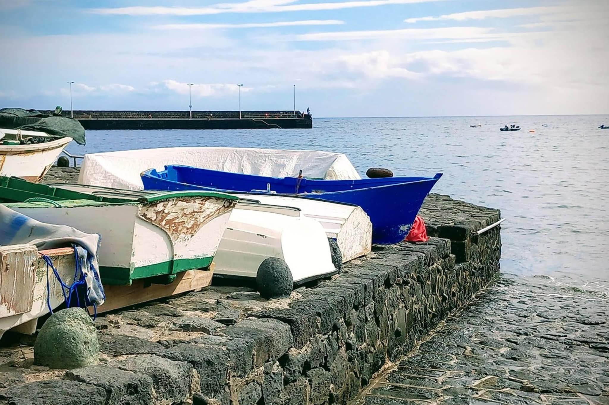 Delfin 7-Gebied winter 5km