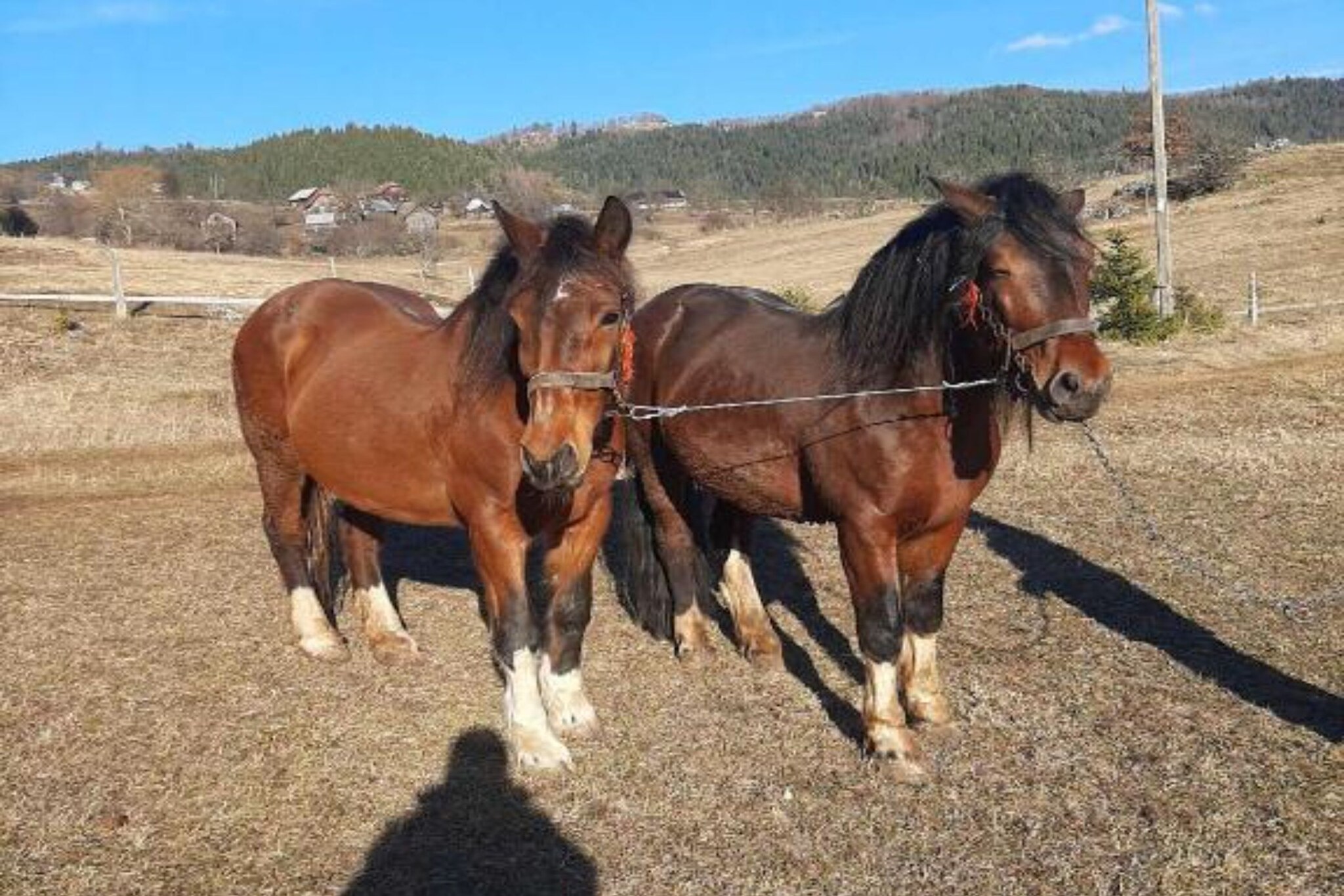 Cottage Zlodo - One Bedroom Cottage-Aussicht