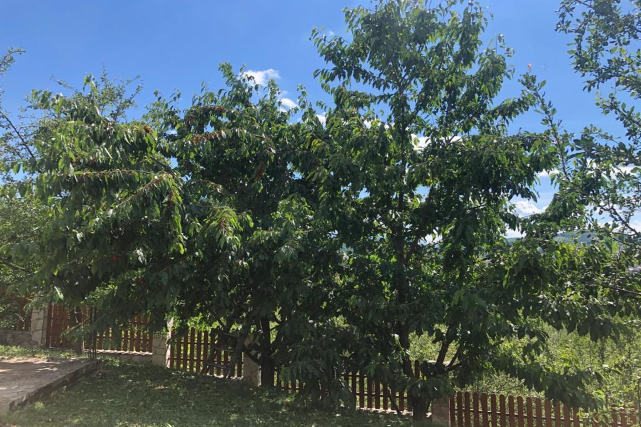 Villa Sarajevo Hills - Five Bedroom Villa with Terrace and Garden