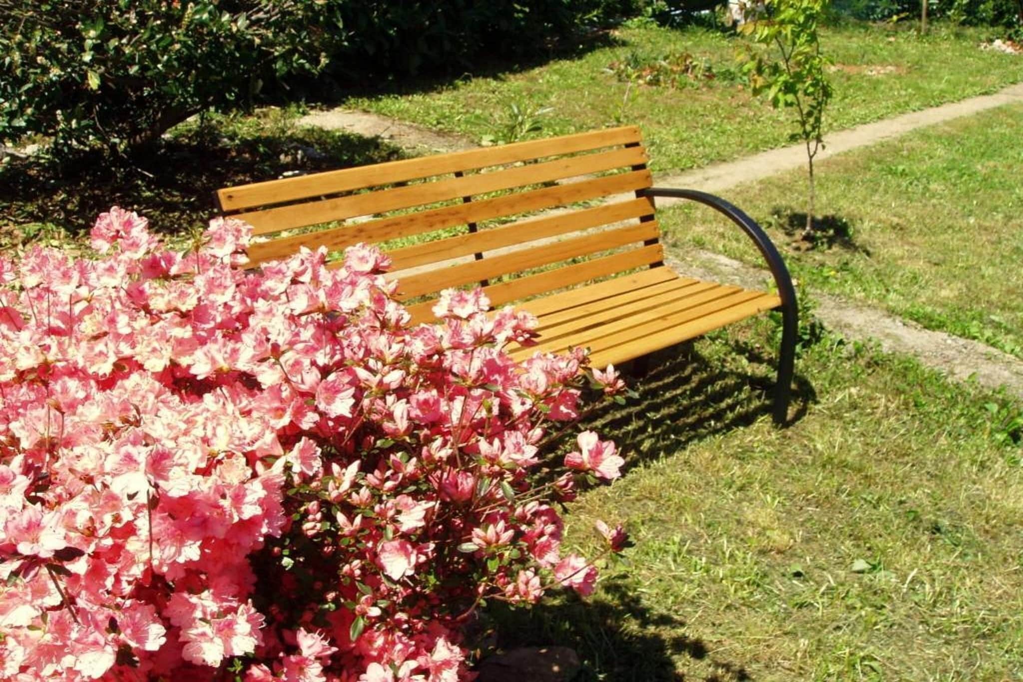 Charming Apartments Kestenovi Dvori - Studio Apartment (A6)