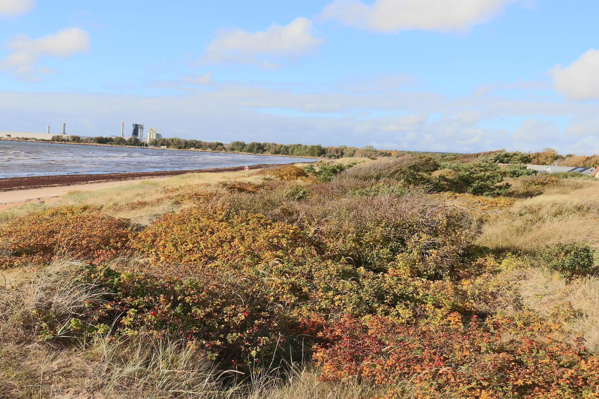 4 sterren vakantie huis in HALMSTAD-Niet-getagd