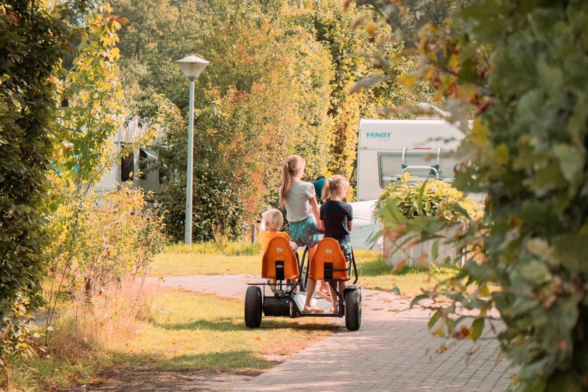 Boslodge l 4 persons-Installations du parc