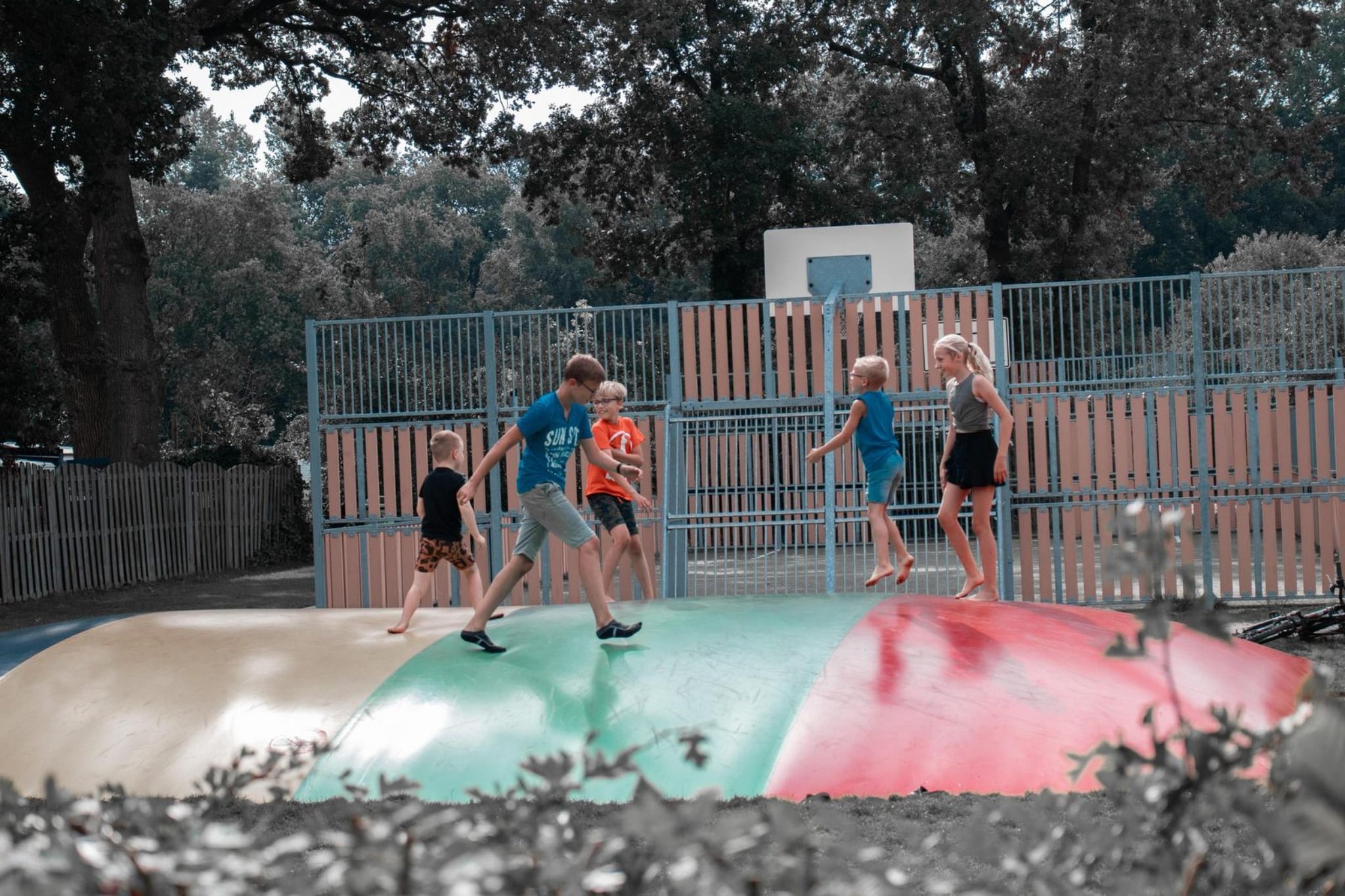 Boslodge l 4 persons-Installations du parc