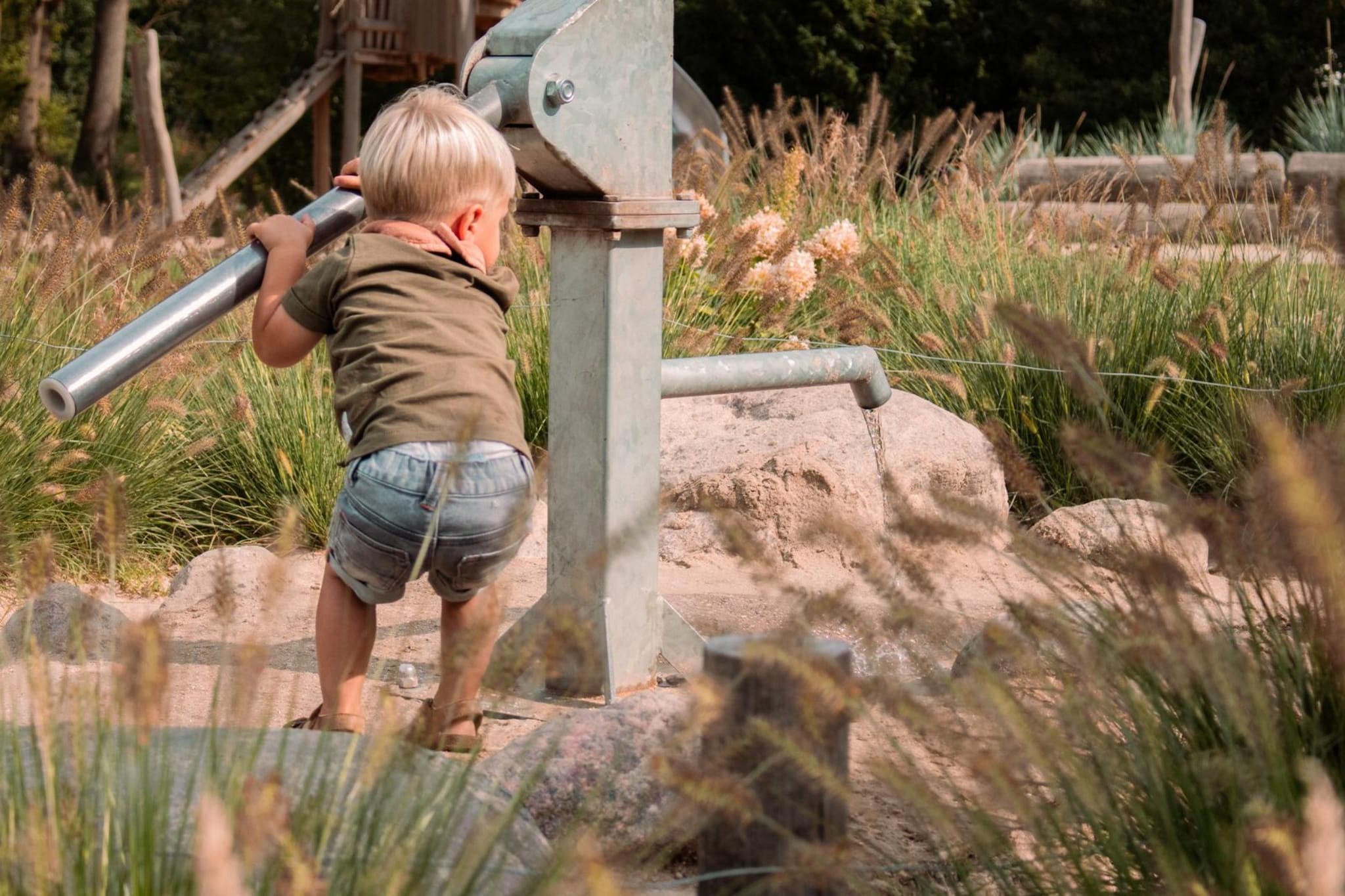 Safaritent | 6 persoons-Parkfaciliteiten