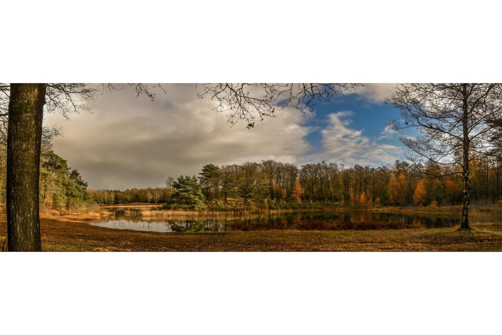 Ranger lodge | 6 persoons-Gebieden zomer 20km