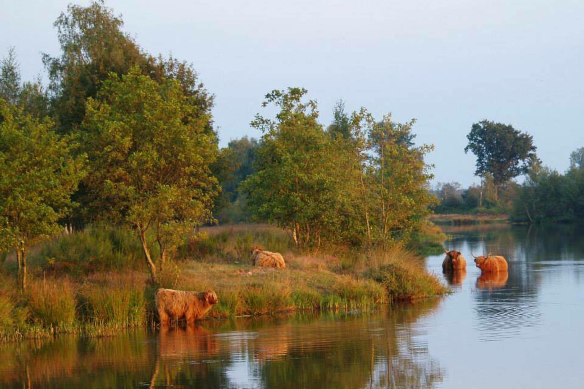 Ranger lodge | 6 persoons-Gebieden zomer 5km