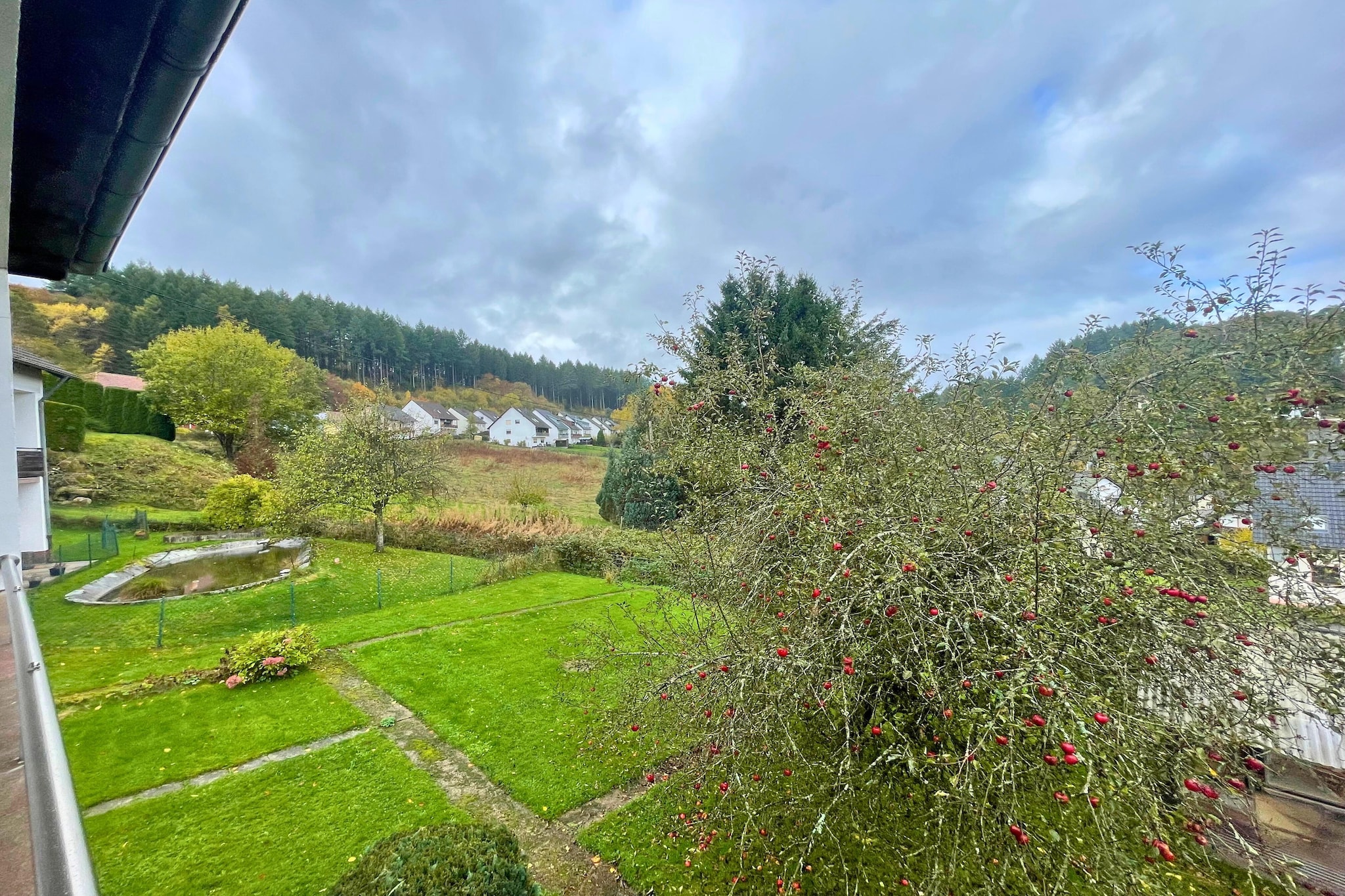 Ferienhaus Birresborn-Buitenkant zomer