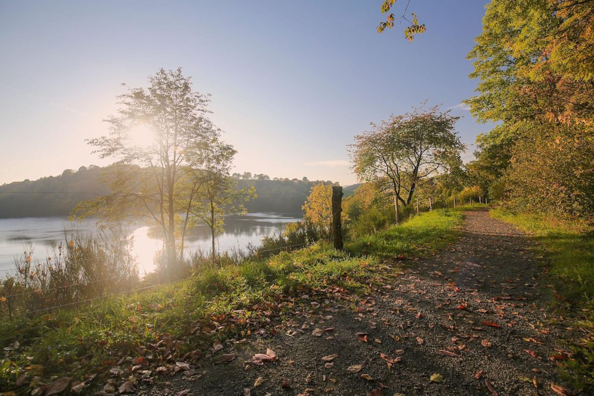 Ferienhaus Birresborn-Gebieden zomer 5km