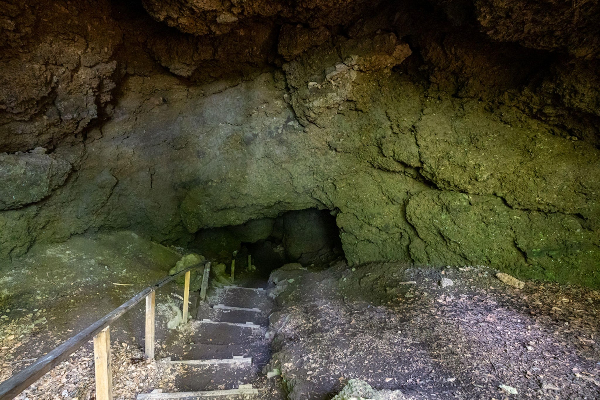 Ferienhaus Birresborn-Gebieden zomer 5km