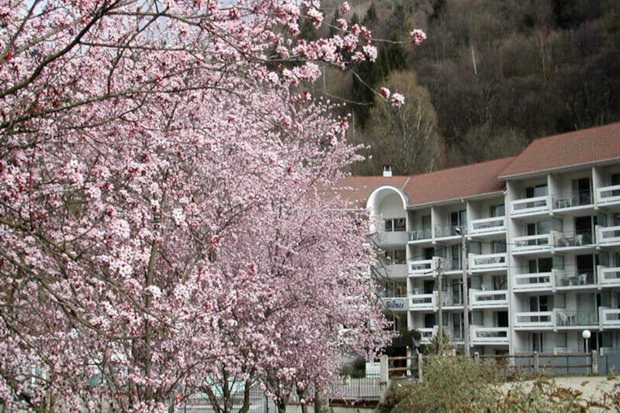2-room apartment for 4 people Superior