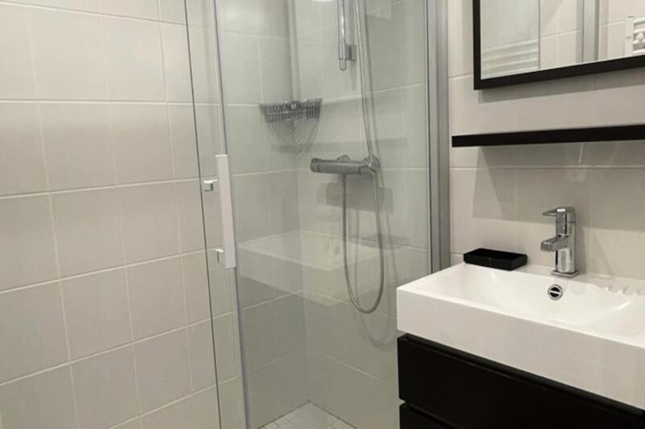 Apartment in Le Roche Mantel Ski Resort