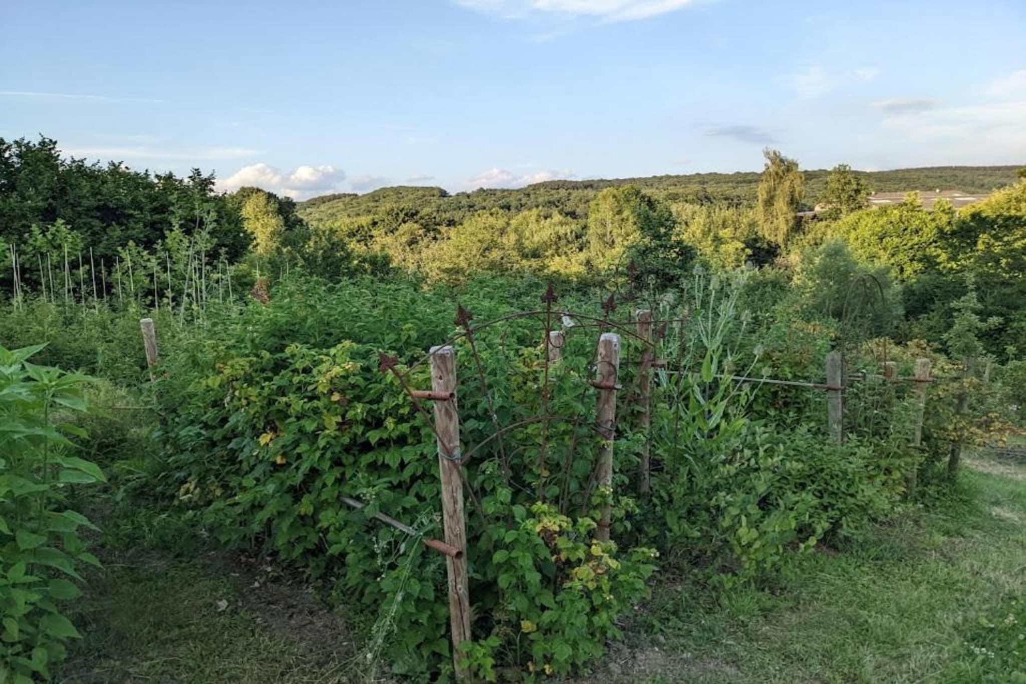 Les Petits Cotteaux-Areas summer 20km