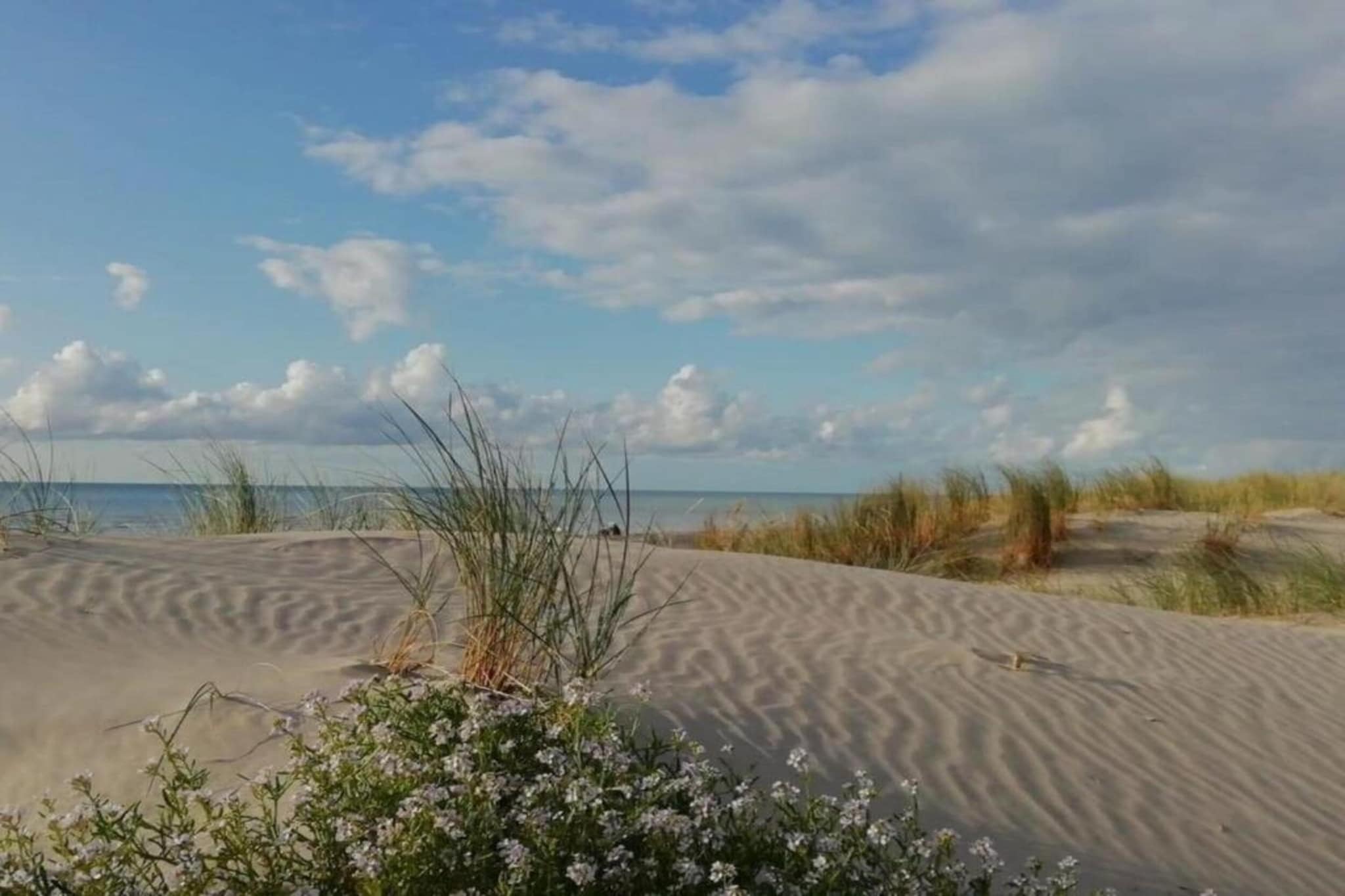 Chalet 2-Gebieden zomer 5km