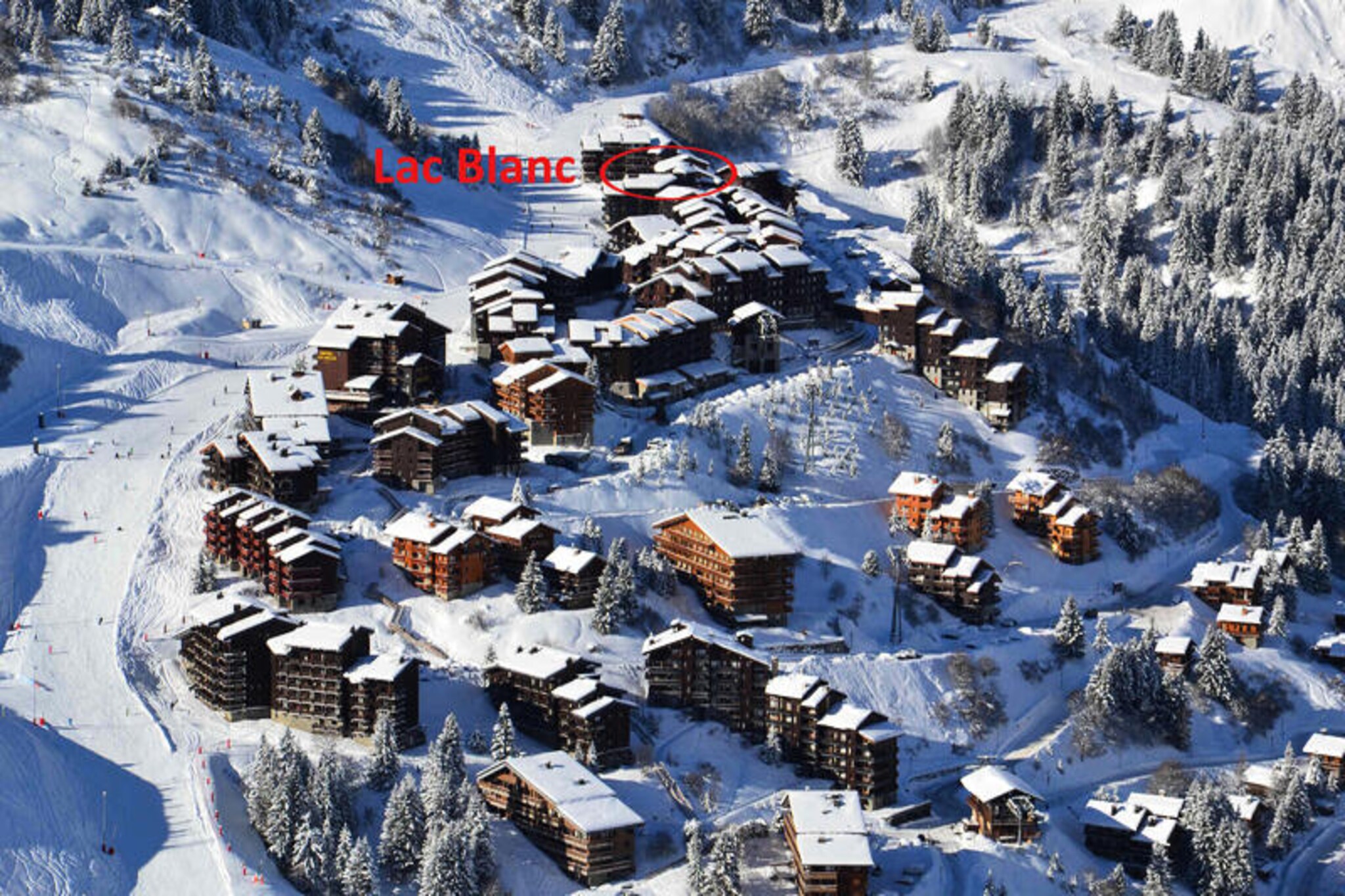 Imagine waking up to the serene beauty of the French Alps, where your cozy studio awaits at the Lac Blanc residence. Perfectly positioned at the foot of the slopes, this charming retreat offers an unbeatable location for ski enthusiasts and nature lovers alike. With the Laitelet shopping center just 150 meters away and direct access to the green 'Perdrix' run leading to the main ski lift, your alpine adventures begin right at your doorstep. \n\nThis south-facing studio, designed for 2 to 3 guests, combines comfort and practicality in its 21m² layout. The living area features a set of trundle beds, while the alcove offers a comfortable sofa bed. A well-equipped kitchenette includes a refrigerator, combination oven/microwave, ceramic hobs, dishwasher, and essential appliances like a toaster and kettle, ensuring you have everything needed for a relaxing stay. The bathroom, complete with a toilet, adds to the convenience, and the flat-screen TV provides entertainment after a day on the slopes. The studio also boasts a private terrace with breathtaking slope-side views, perfect for soaking in the alpine atmosphere. \n\nThe residence provides easy access to the Hameau and Laitelet areas via the Chalets cable car, operating from early morning until late evening with free access. Whether you're exploring the vibrant local shops, enjoying après-ski activities, or simply taking in the stunning mountain vistas, everything you need is within reach. \n\nFor those seeking a memorable alpine escape, this studio offers the perfect blend of comfort, convenience, and natural beauty. Whether it's a winter ski trip or a summer mountain retreat, the Lac Blanc residence is your gateway to unforgettable moments in the heart of the Alps.