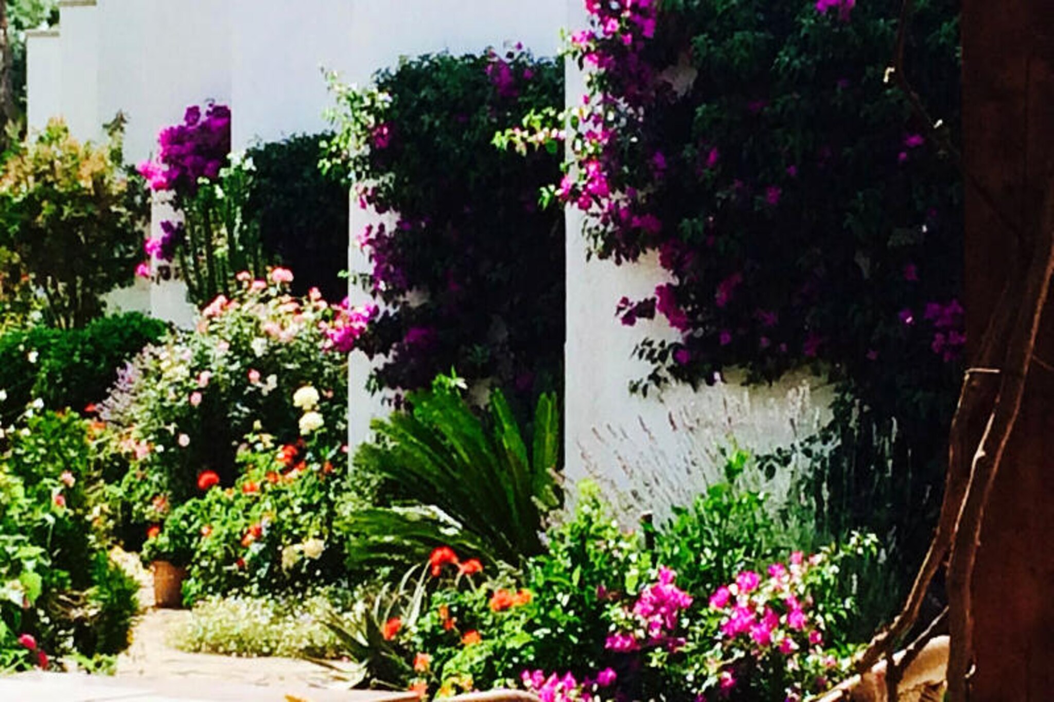 Apartment in Mallorca with Pool & Garden