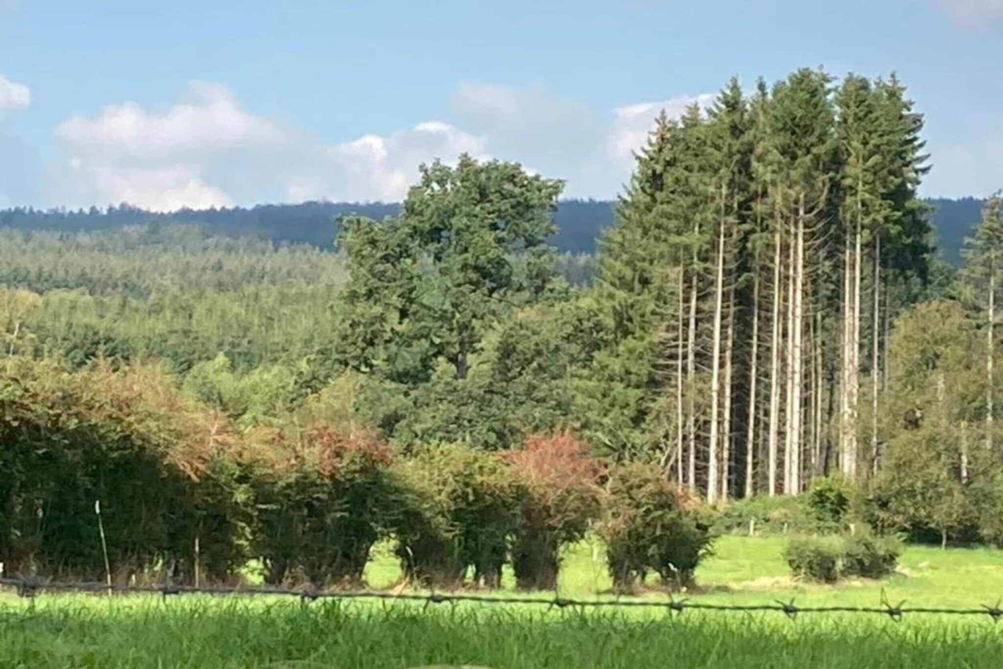 La Hetraie-Gebieden zomer 20km