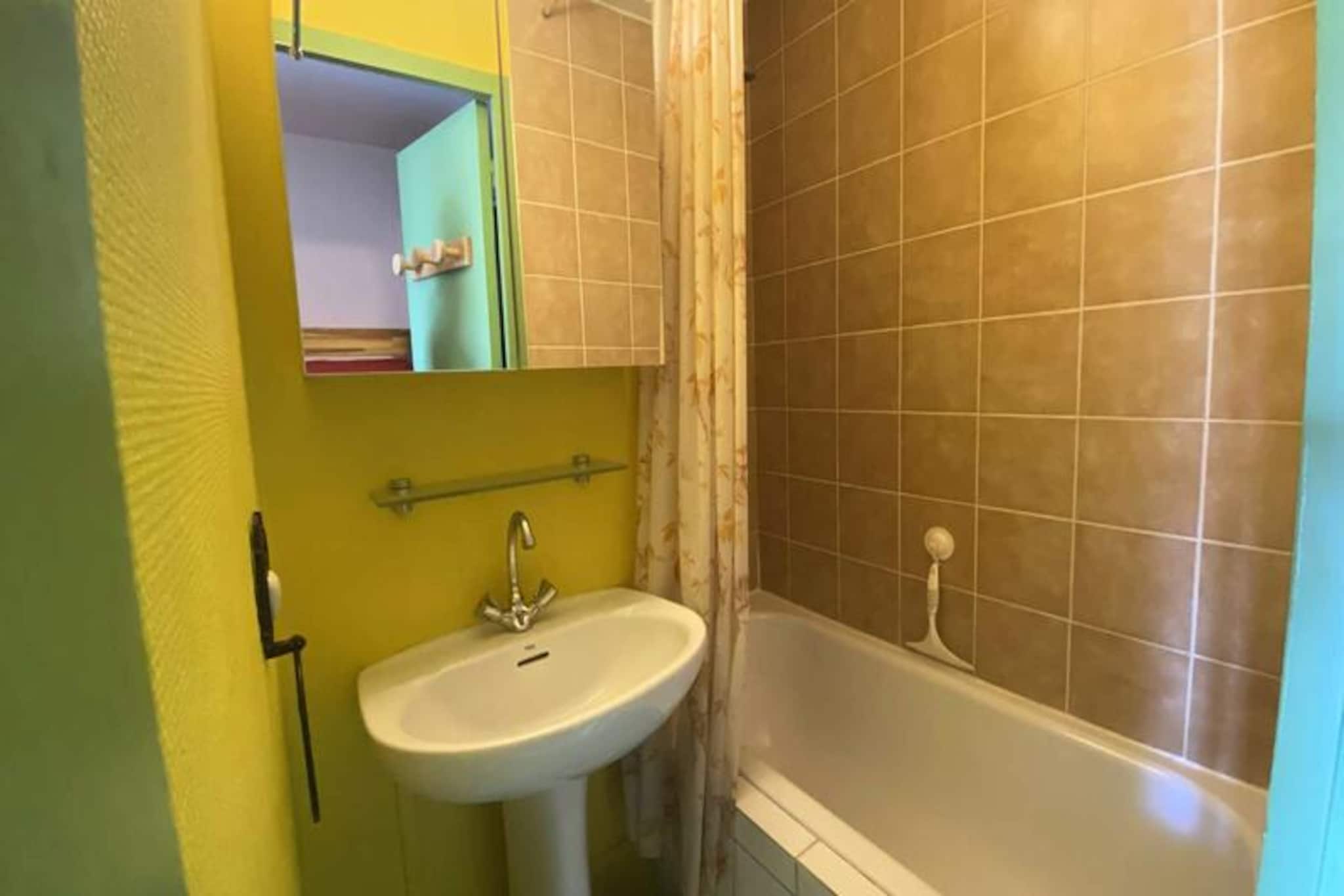 Apartment in Les Deux Alpes near Slopes