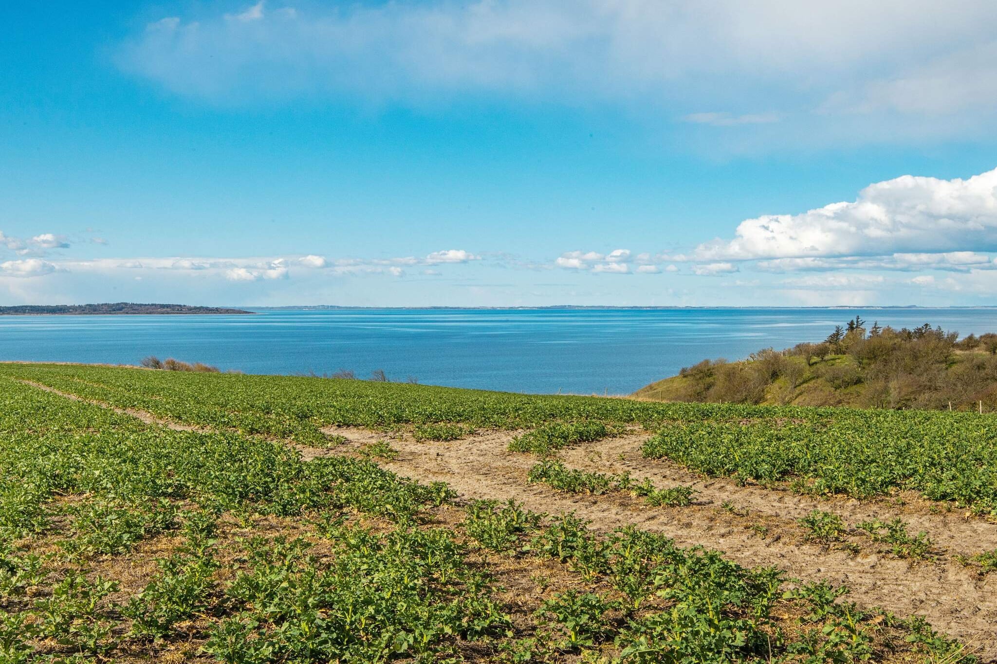 4 sterren vakantie huis in Ranum