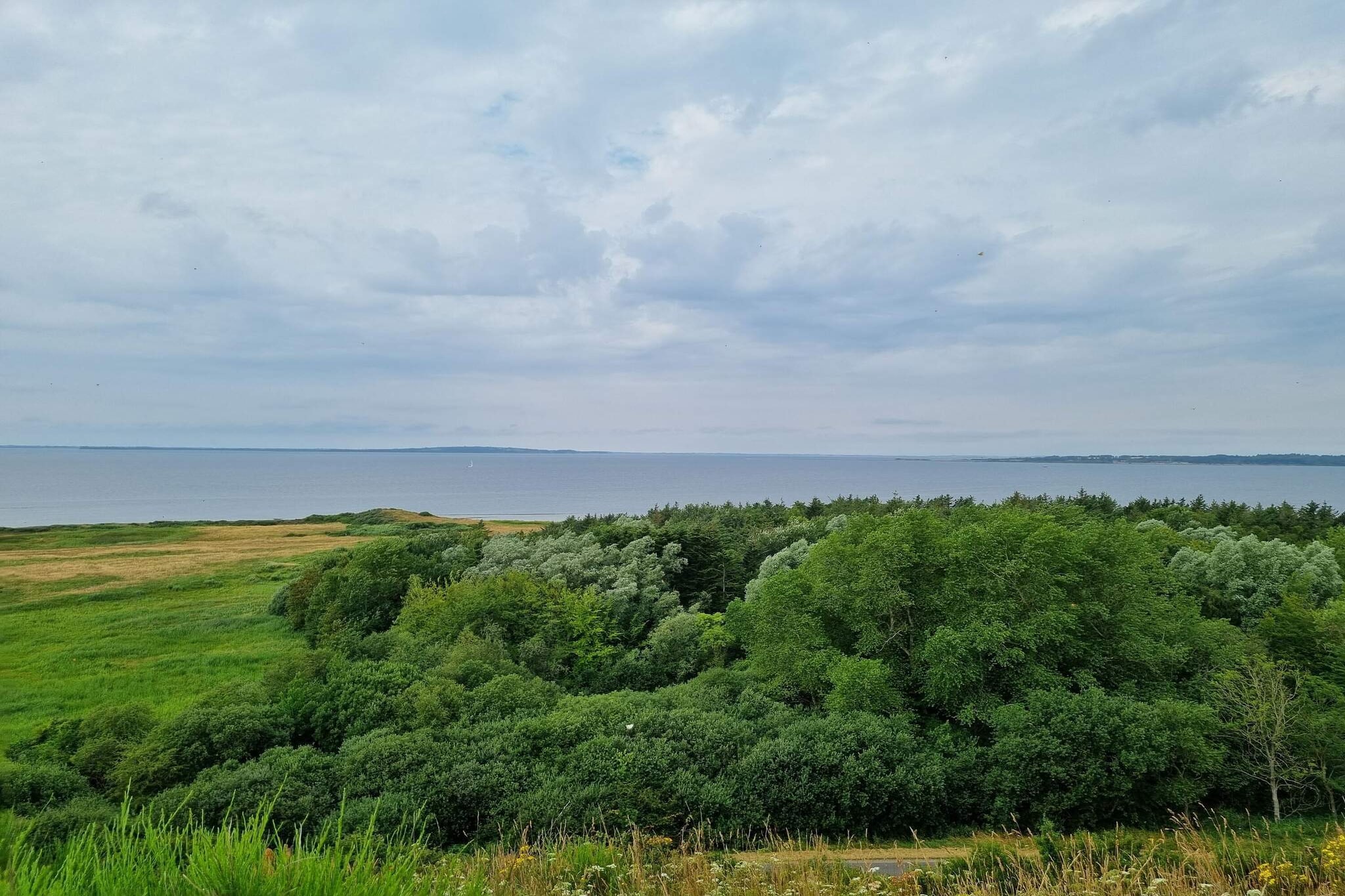 4 sterren vakantie huis in Ranum-Buitenlucht