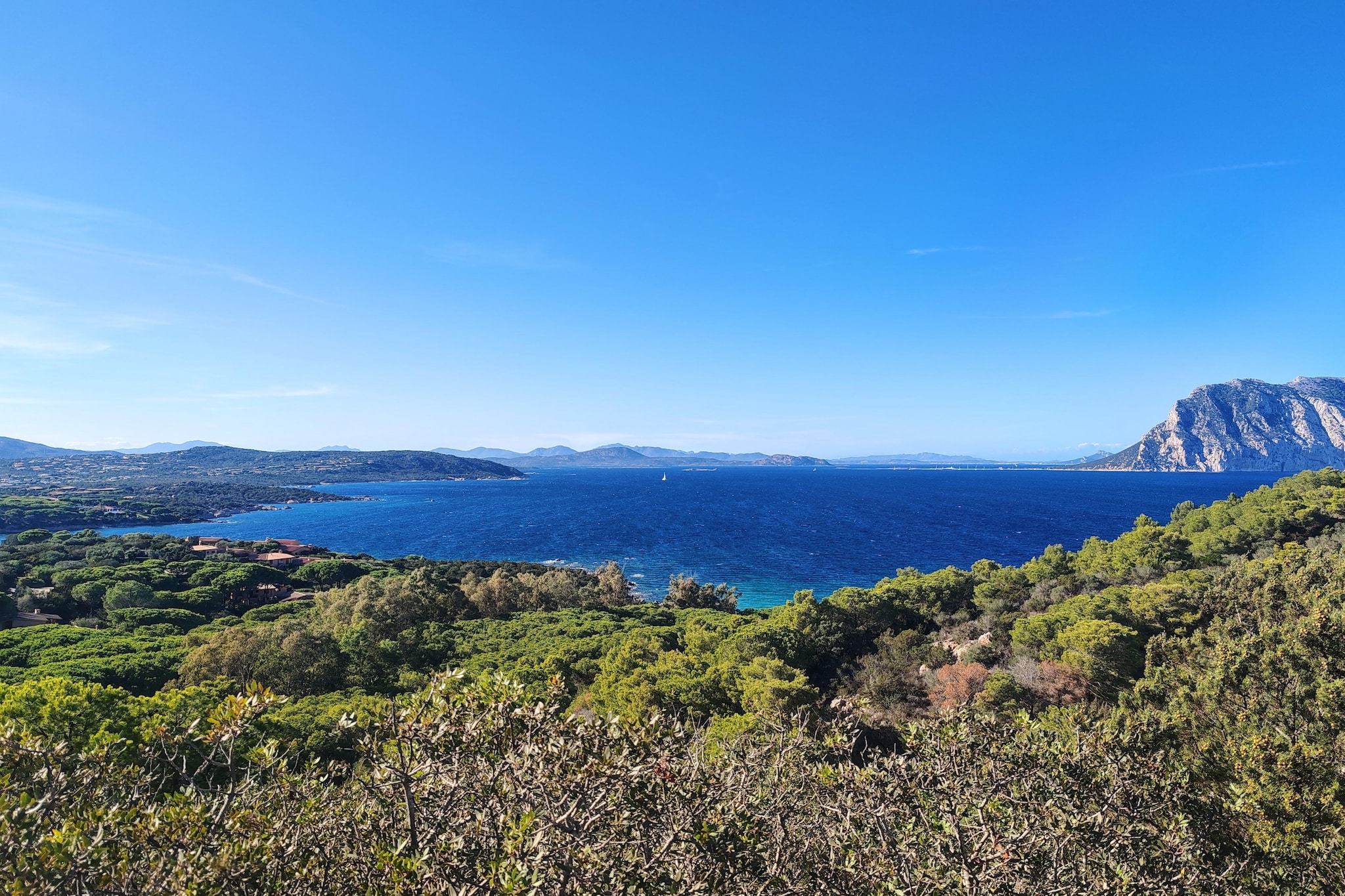 Residenza L'Oasi-Gebieden zomer 5km