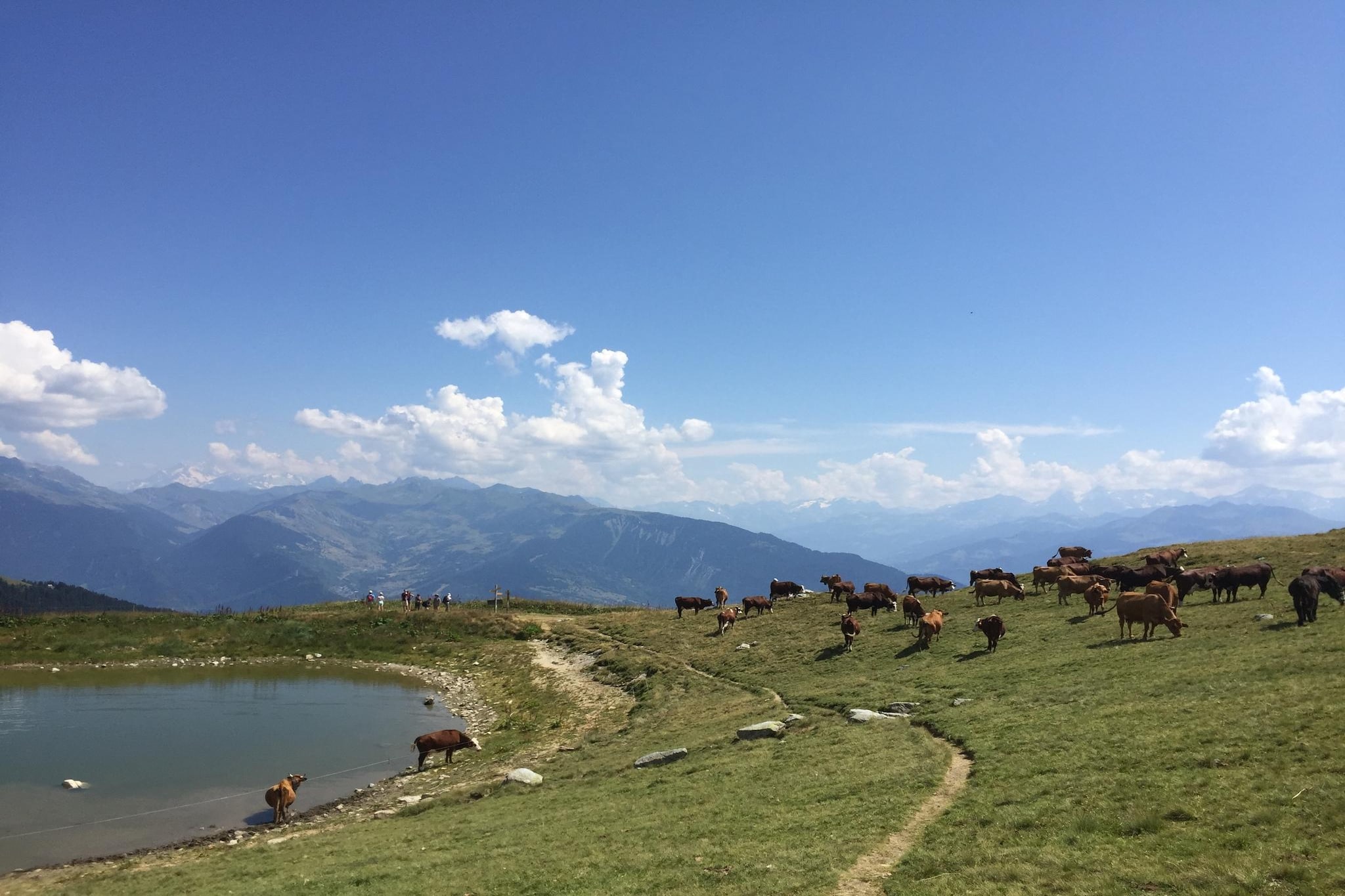 Chalet 3 - SAINT-FRANÇOIS-LONGCHAMP-Areas within 5km in summer