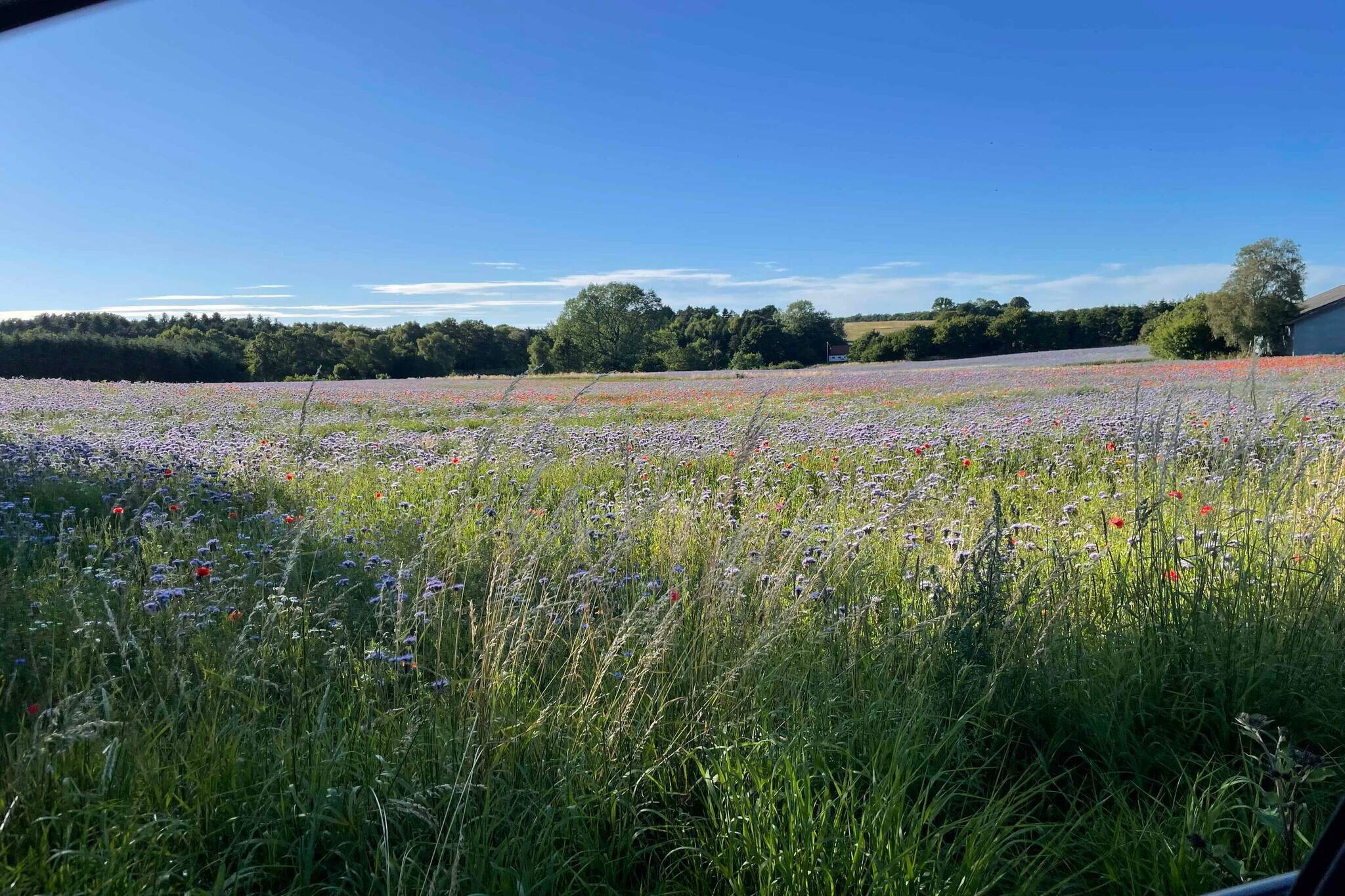 4 sterren vakantie huis in Nykøbing Sj-Buitenlucht