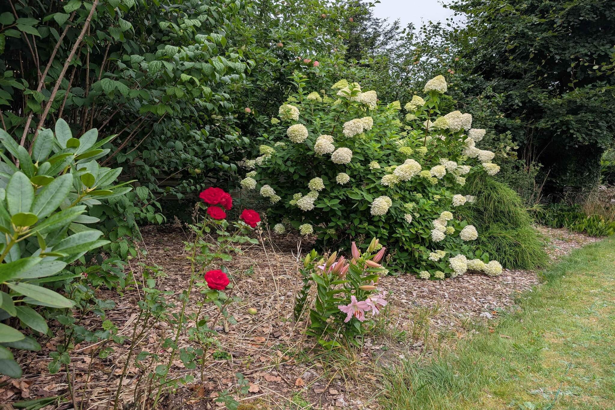 4 Sterne Ferienhaus in Løgstør-Im Freien