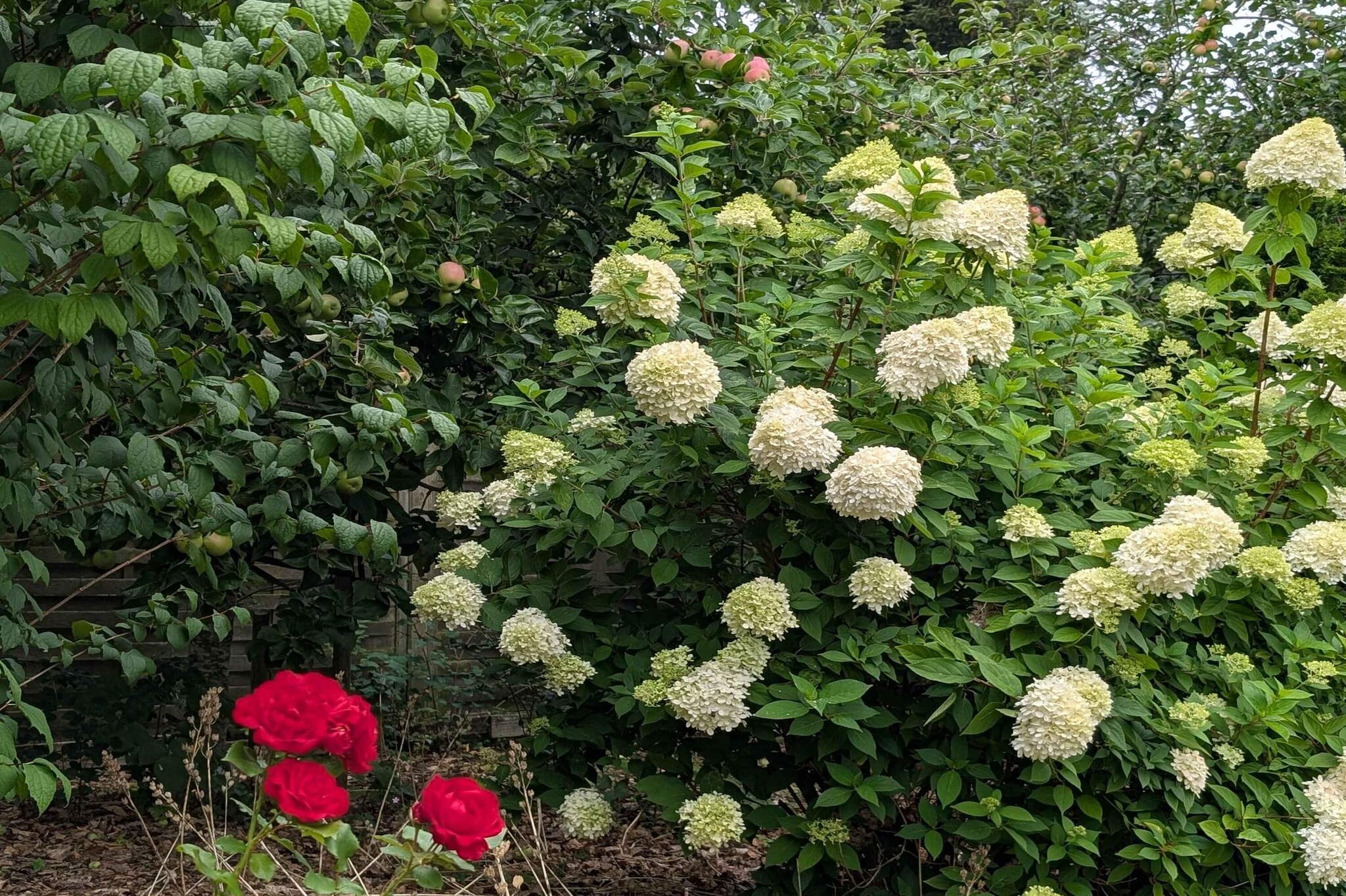 4 Sterne Ferienhaus in Løgstør-Im Freien