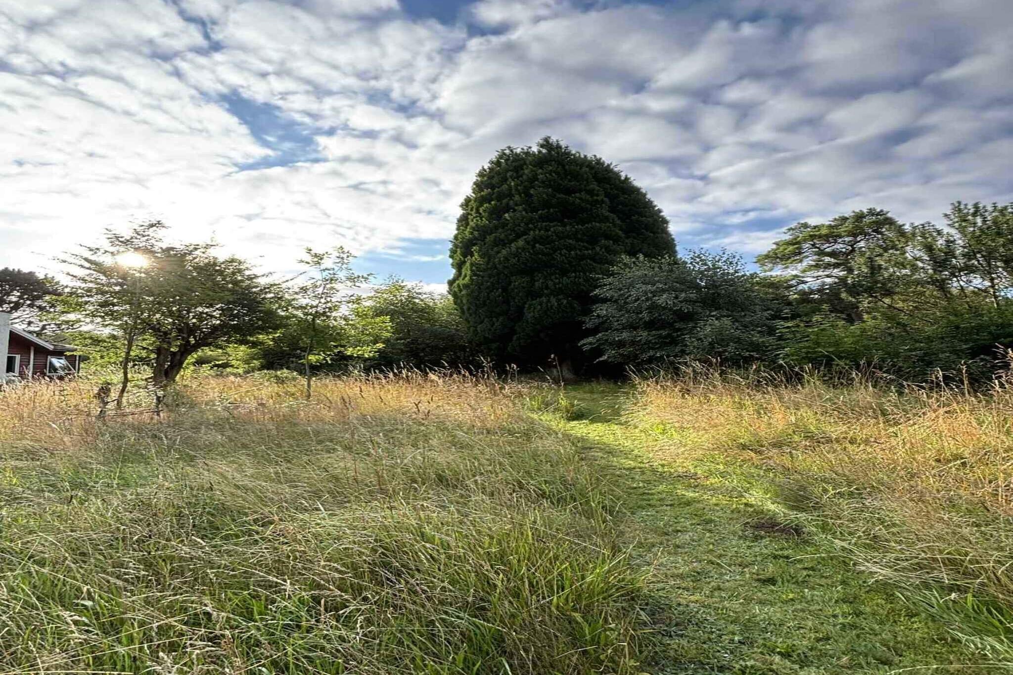 4 sterren vakantie huis in Fårevejle-Buitenlucht