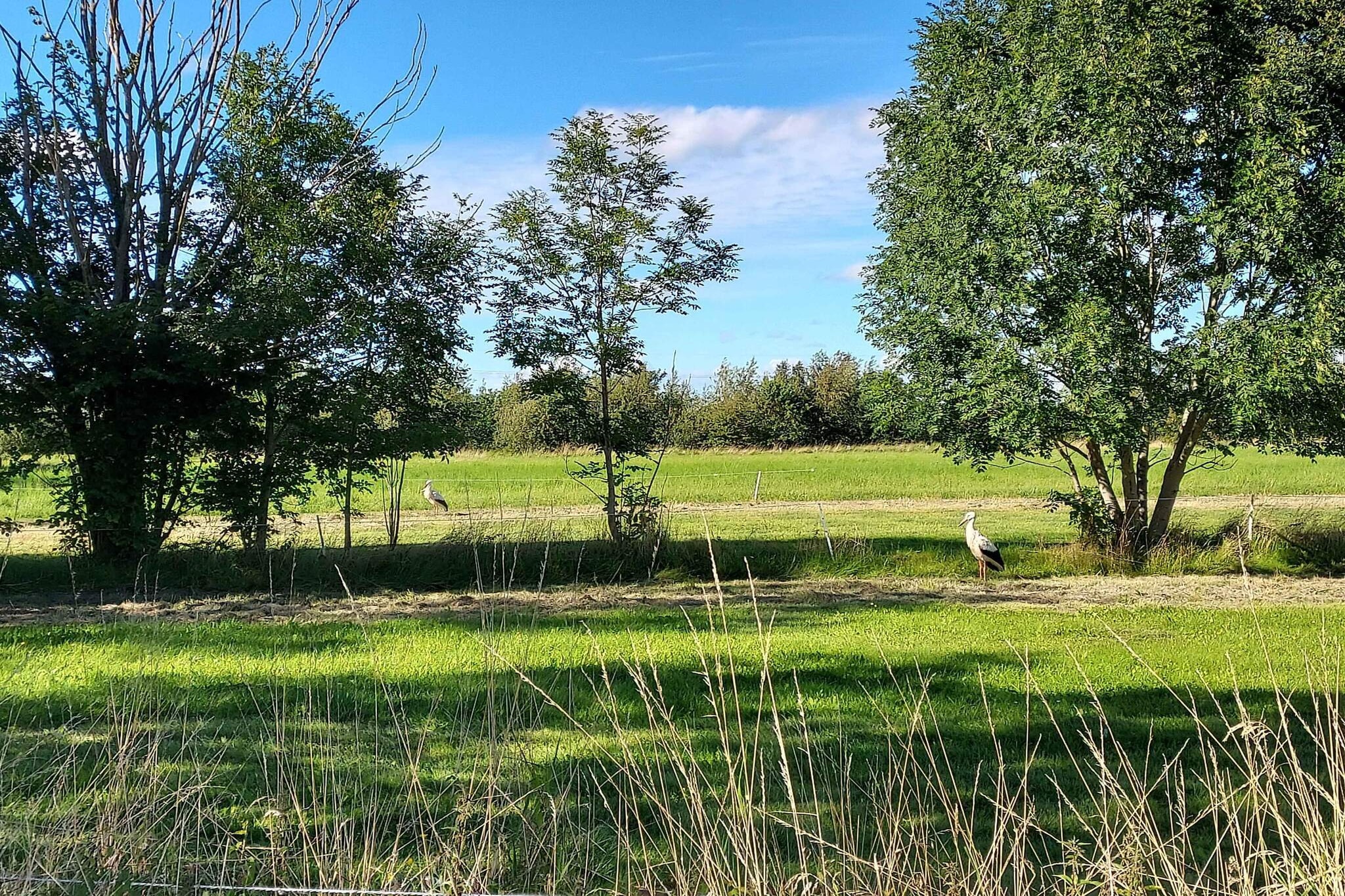 4 sterren vakantie huis in Tønder