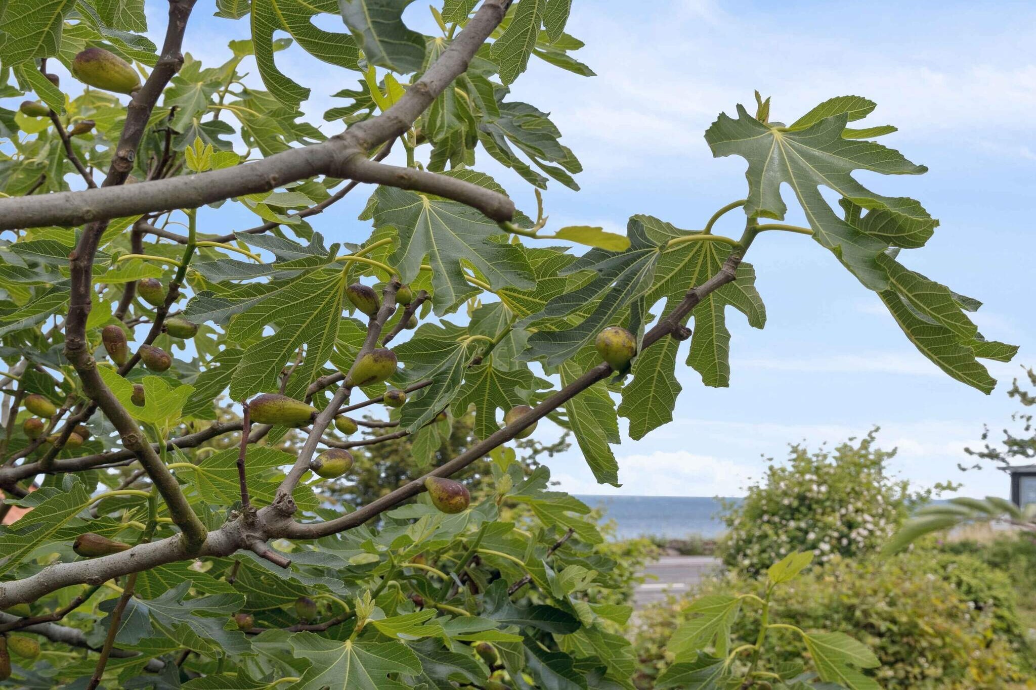 4 Sterne Ferienhaus in Allinge