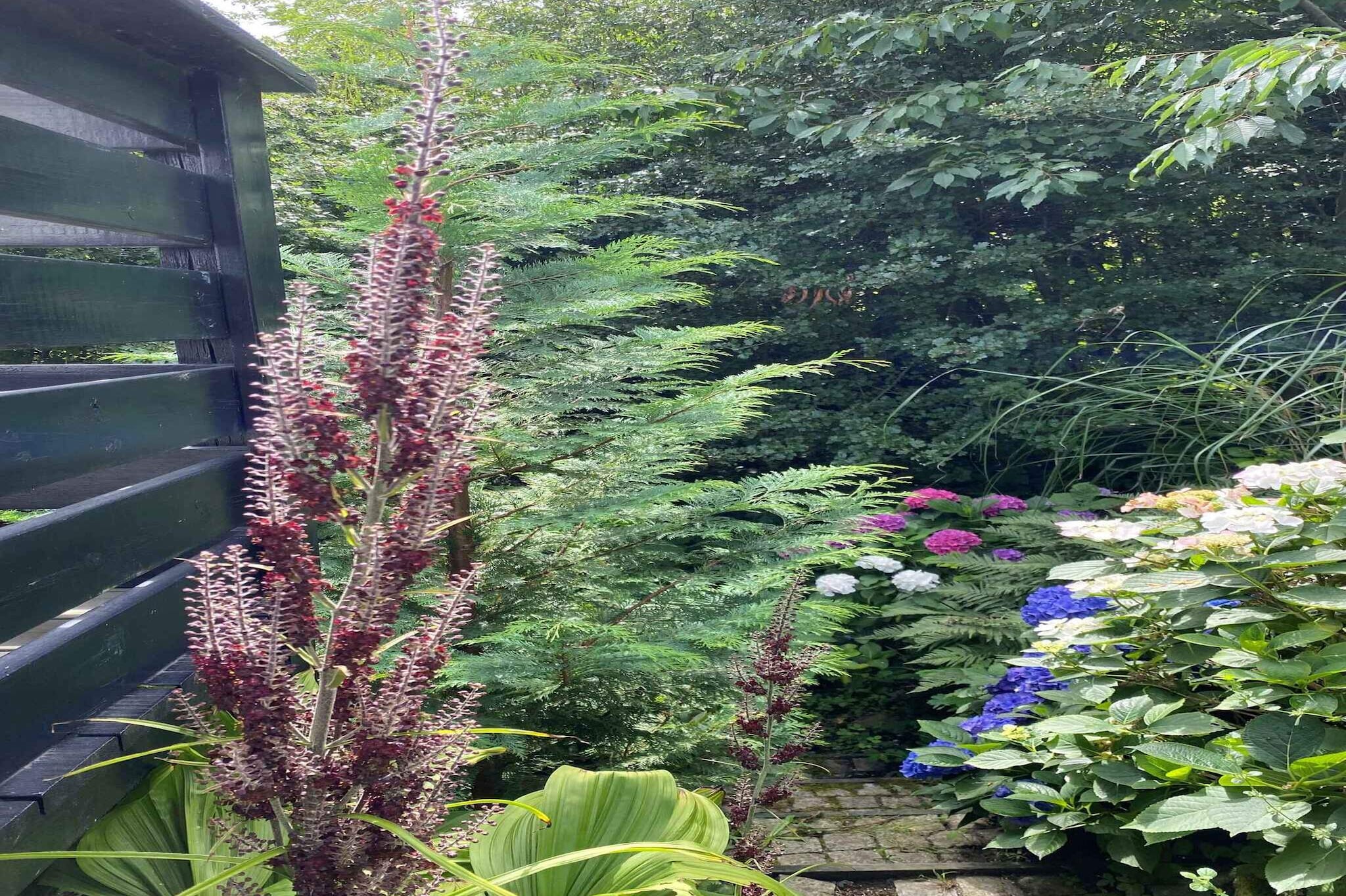 4 sterren vakantie huis in Allinge-Buitenlucht