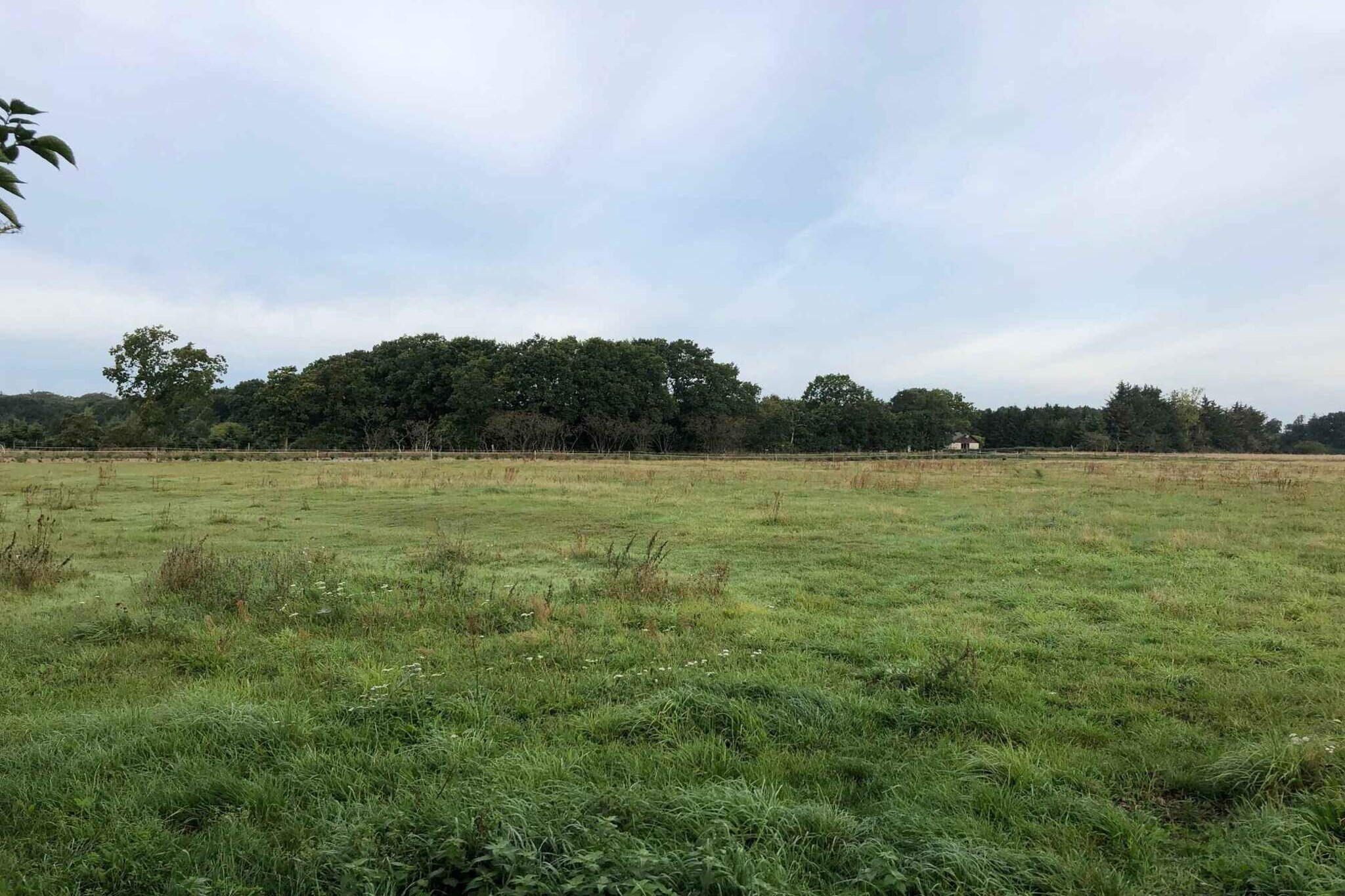 4 sterren vakantie huis in Hadsund-Buitenlucht