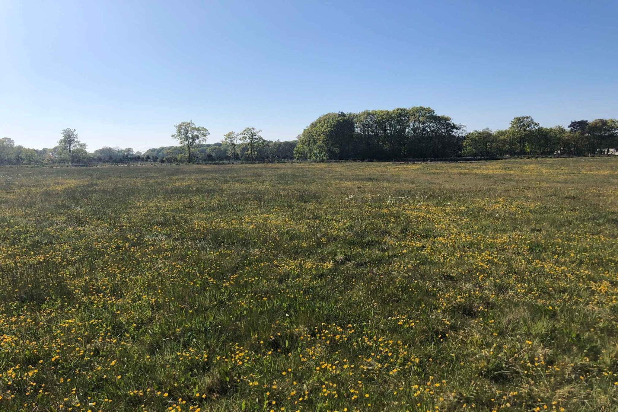 4 sterren vakantie huis in Hadsund-Buitenlucht