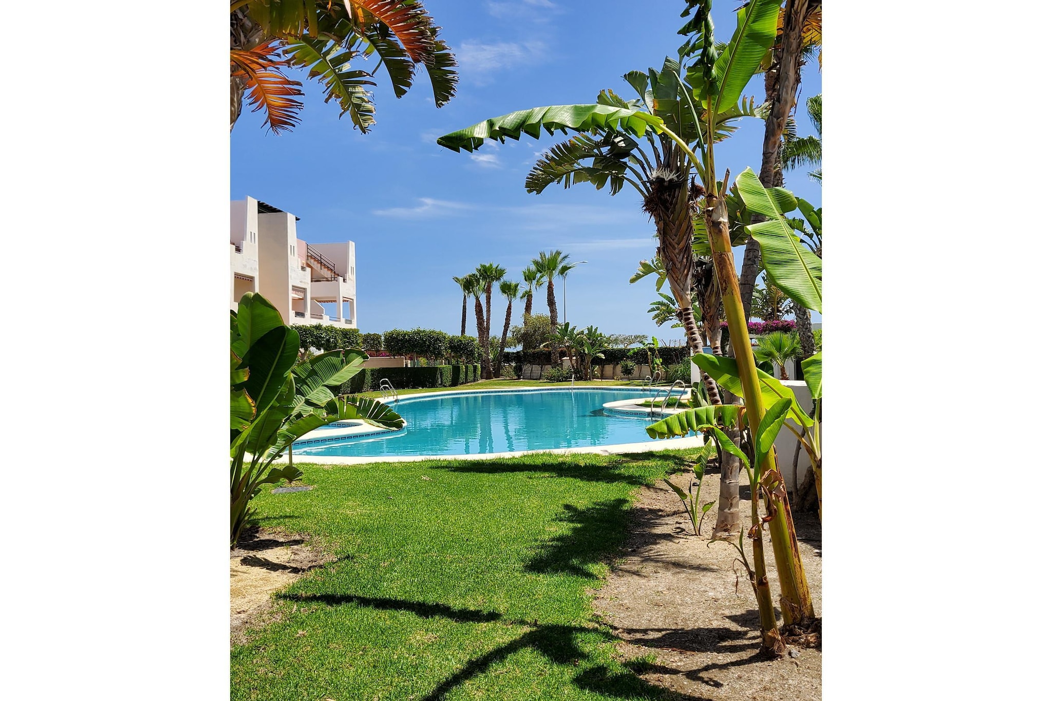 CT 340 AL - Gardenapartment - Paraiso de Vera-Zwembad