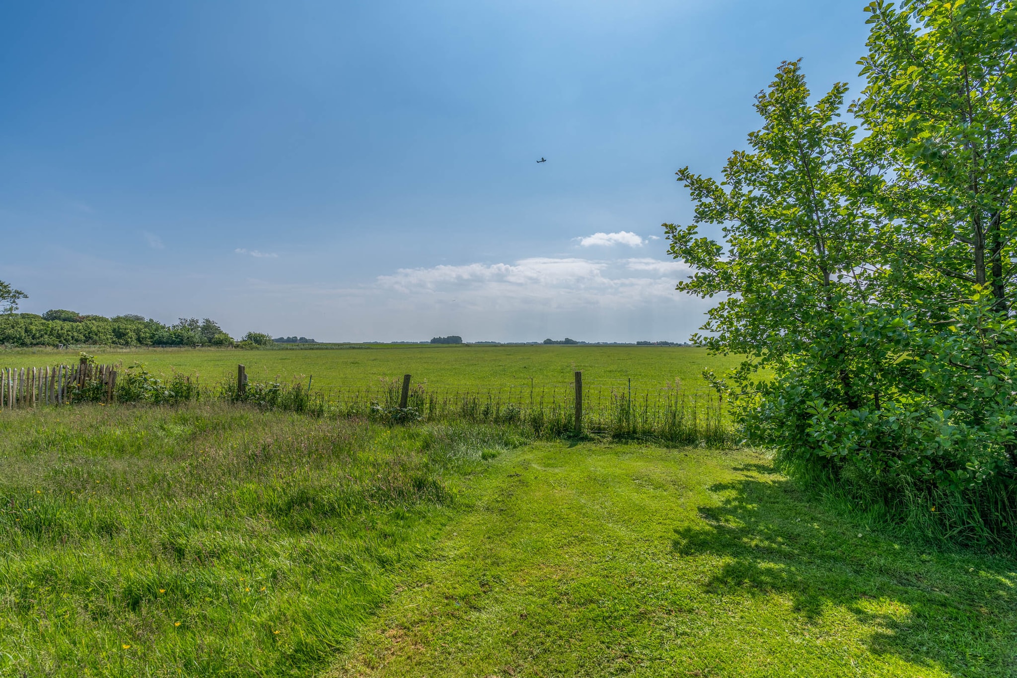 De Zandduyn 13A-Tuinen zomer
