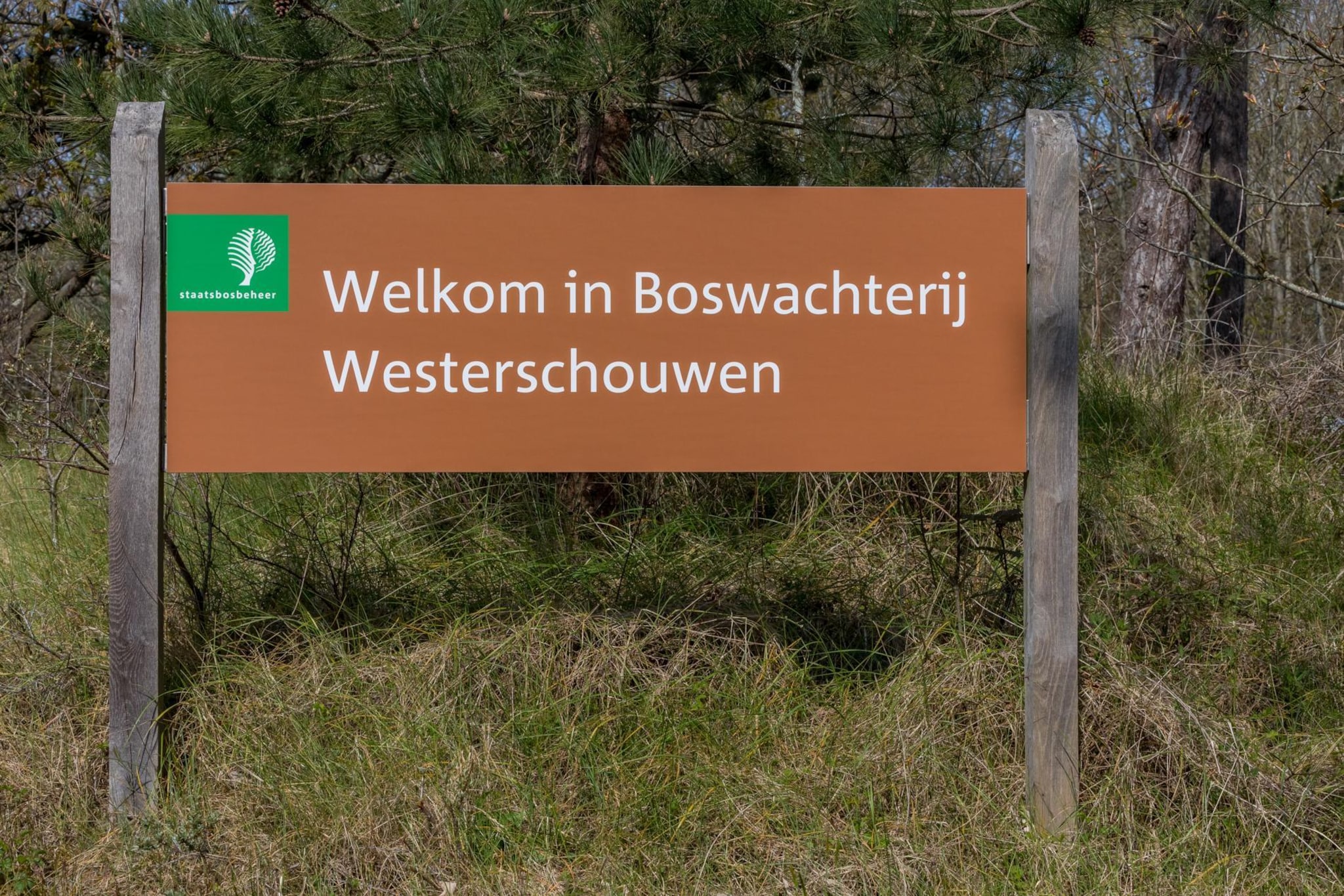 Zonnedorp 26 Renesse: Comfortable Beach Holiday on the North Sea-Niet-getagd