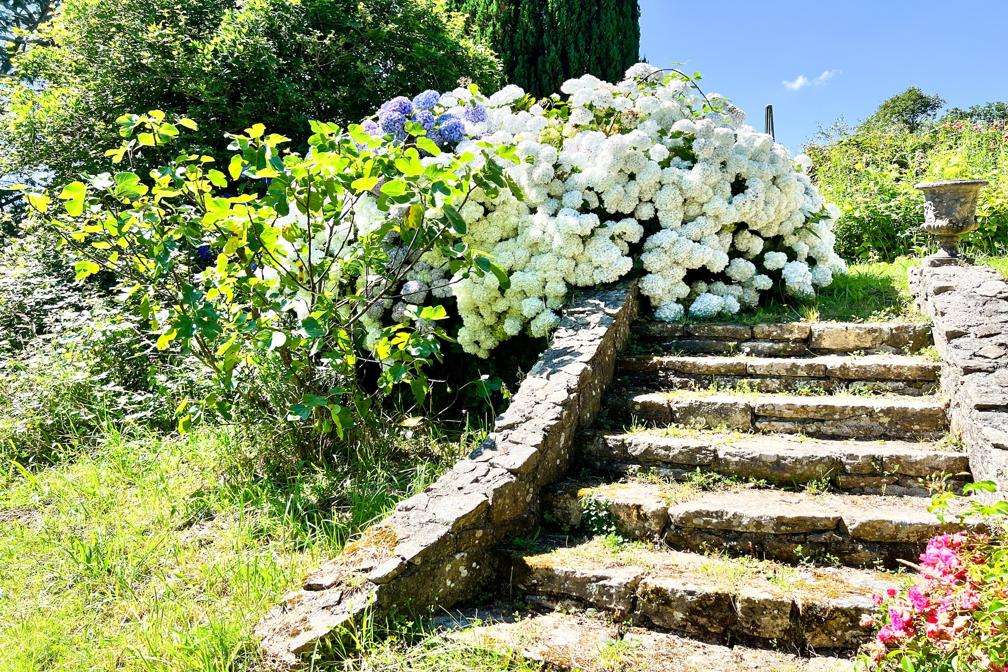 Doppelhaushälfte in Milizac-Tuinen zomer